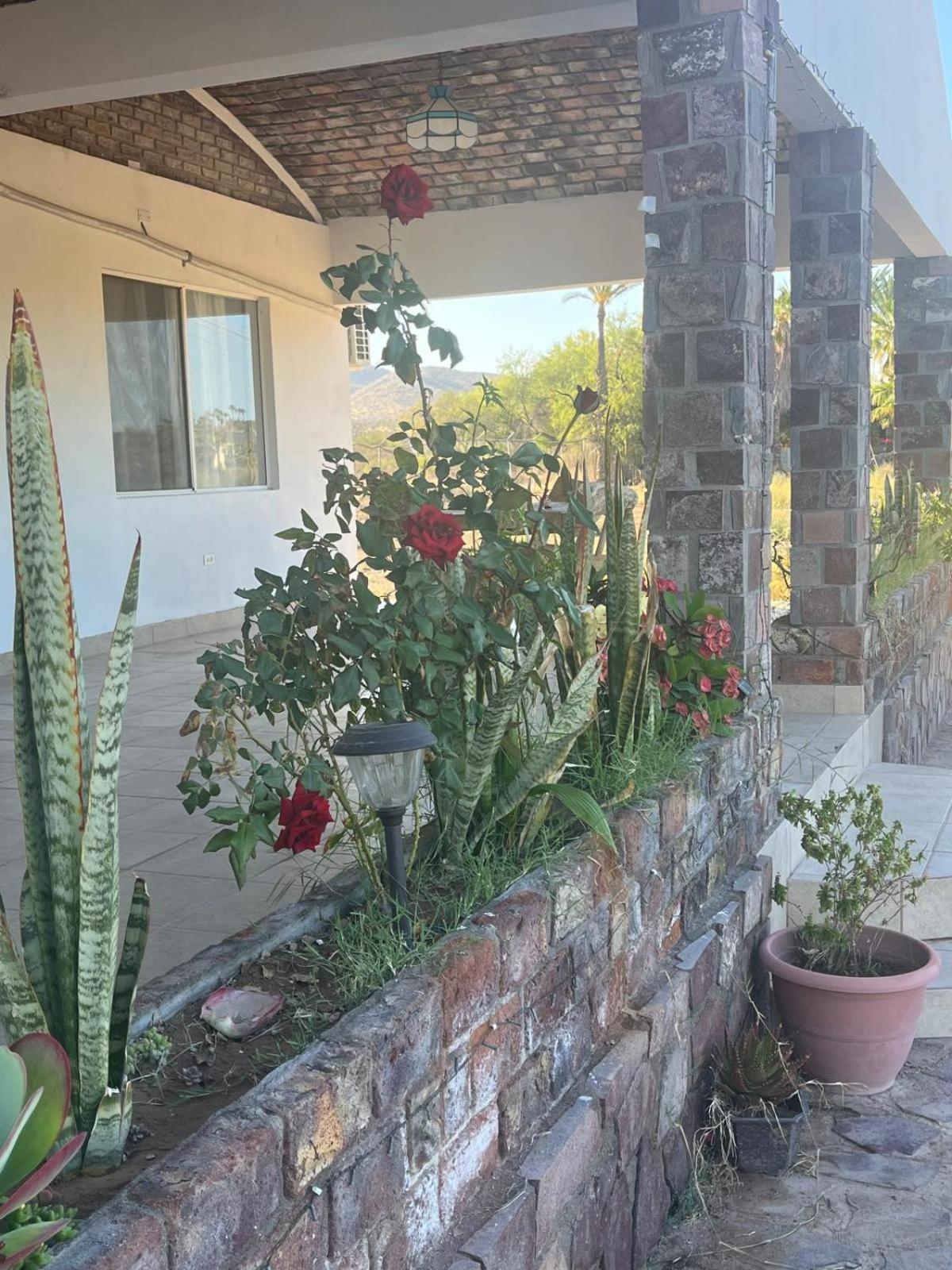 Vacation Home photo 3
