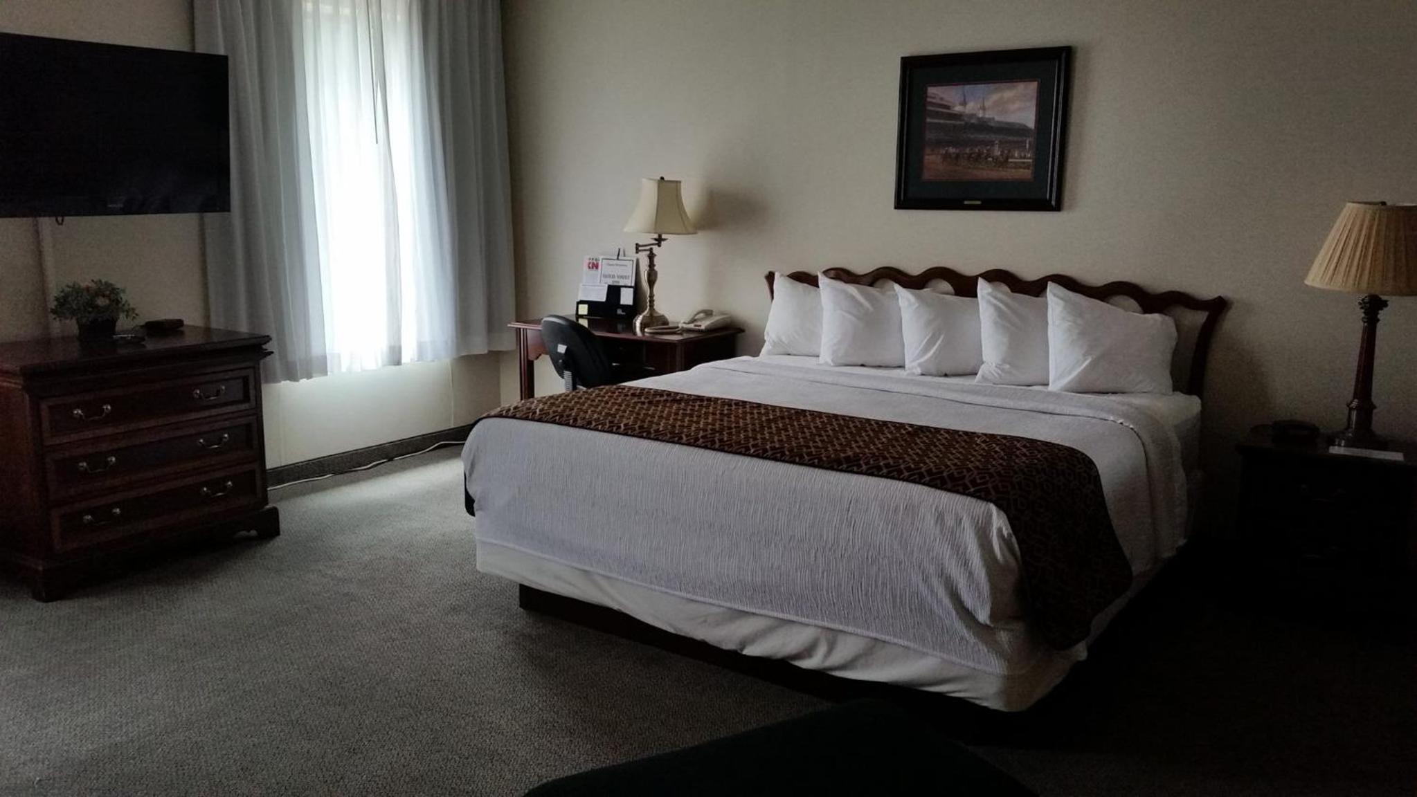 Single Room - Disability Access photo 1