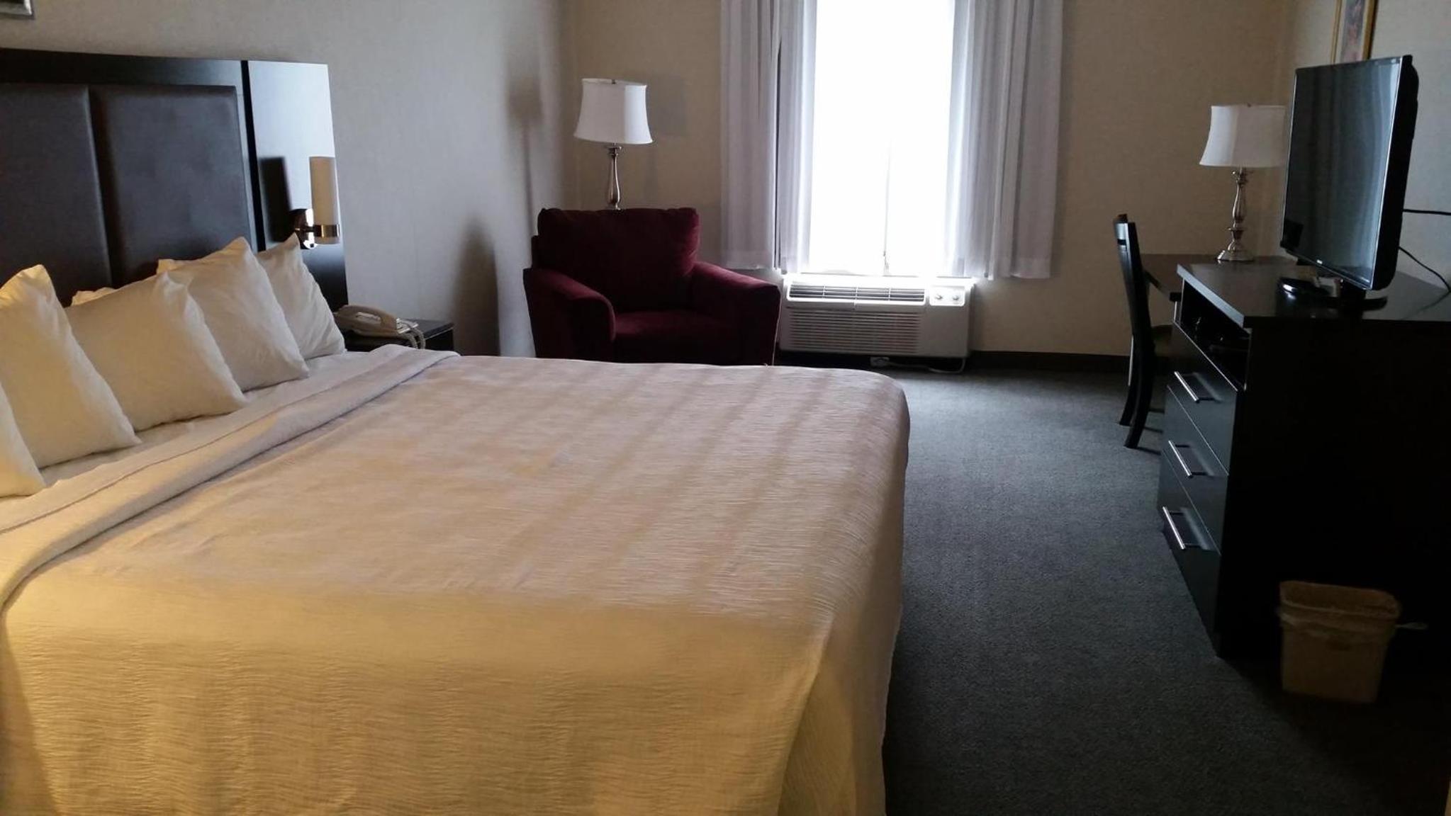 Single Room - Disability Access photo 2