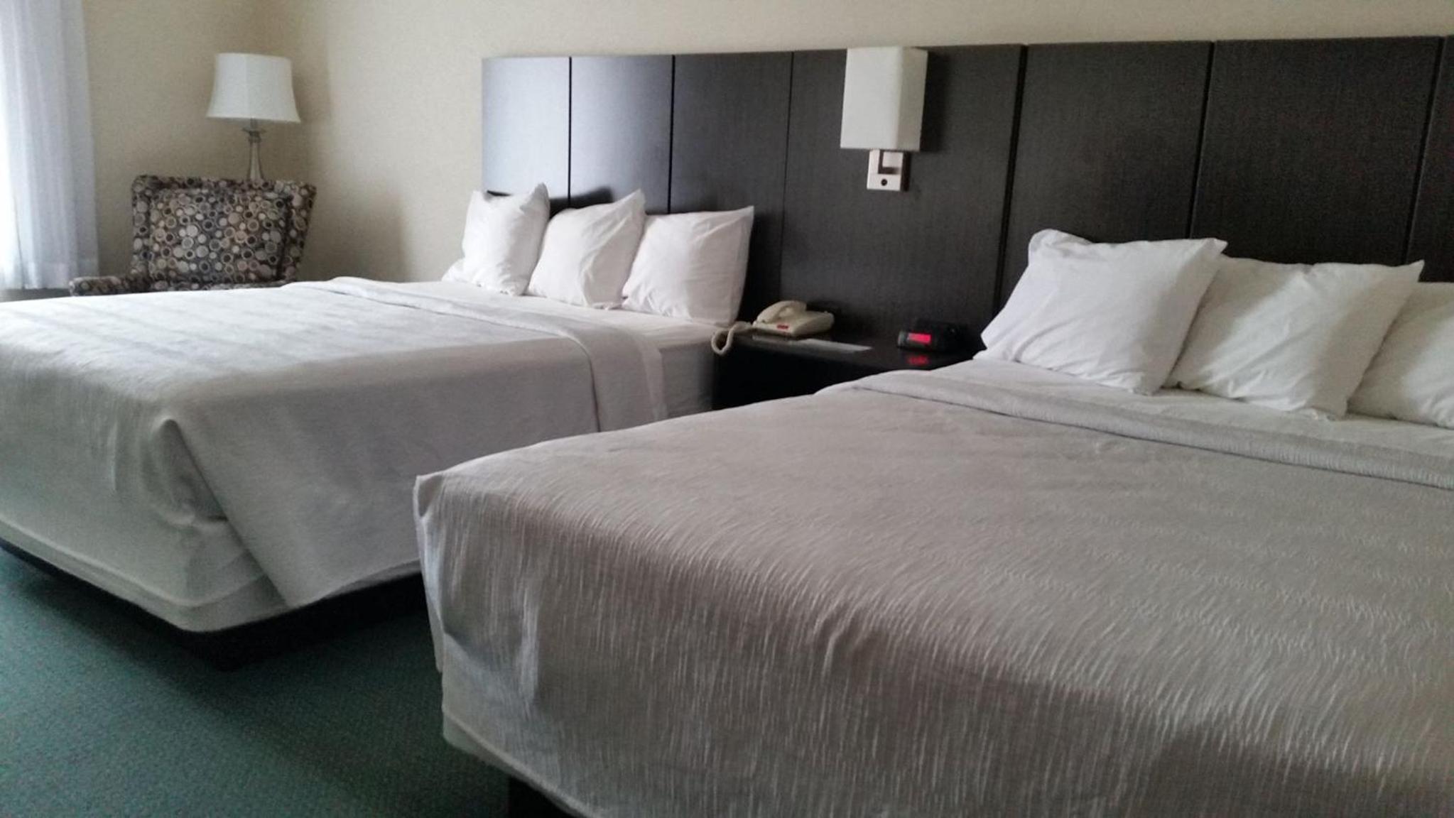 Double Room photo 1