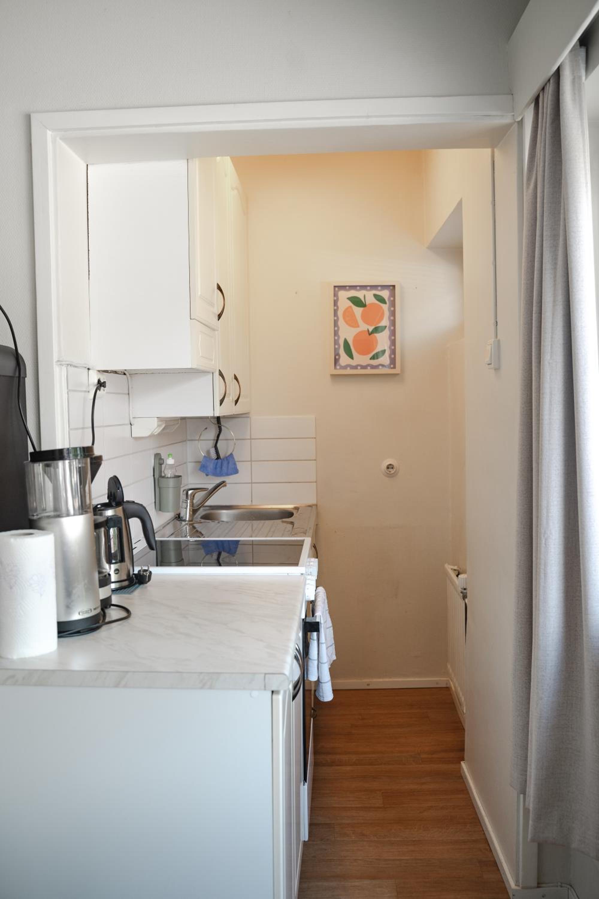 One-Bedroom Apartment photo 2