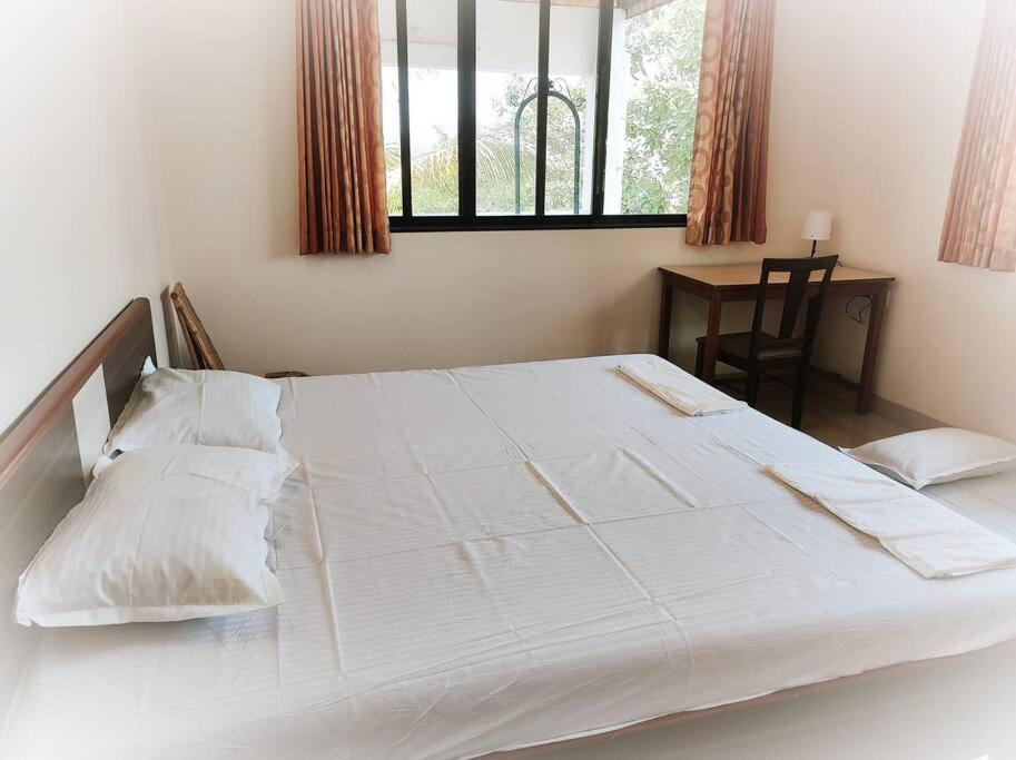 Deluxe Villa photo 3