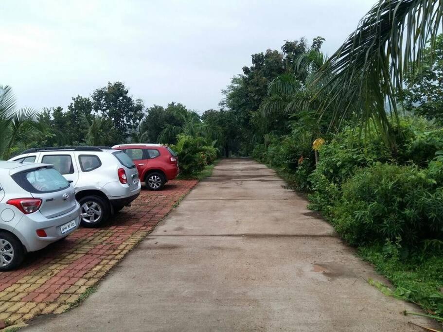 Deluxe Villa photo 2