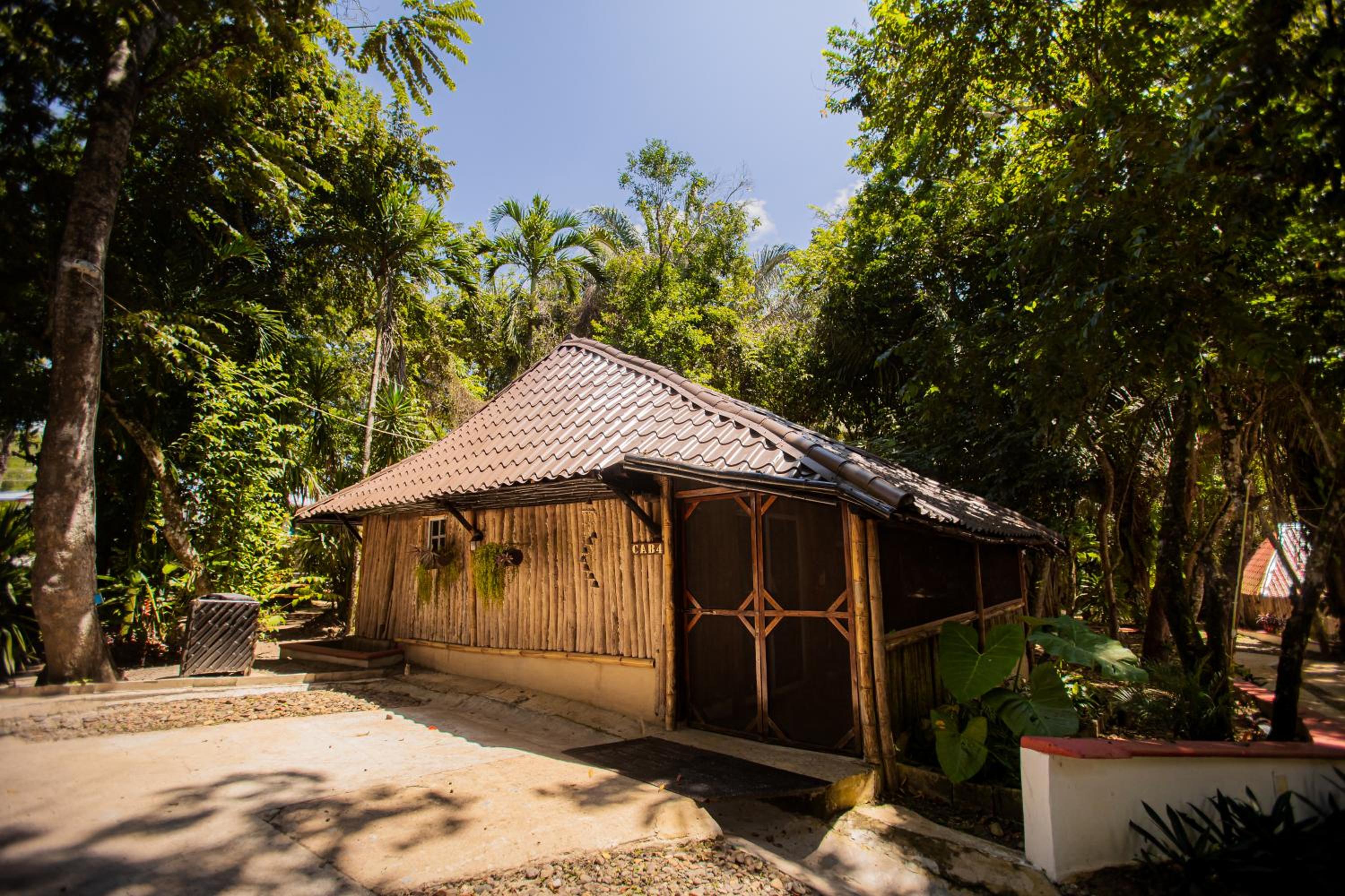 Regular Cabana photo 2