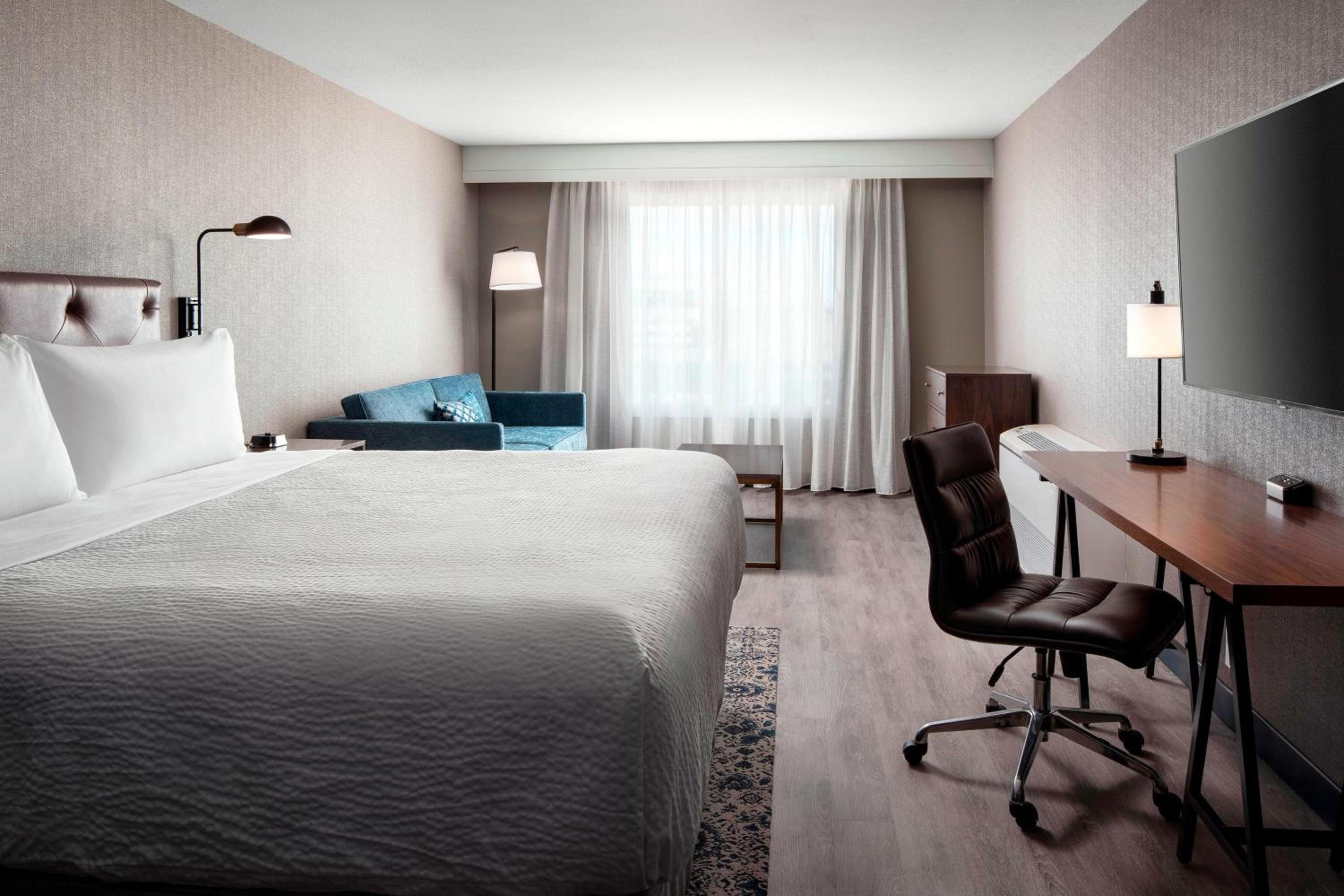 Junior Suite, 1 King, Alternate bed: sofa bed photo 1