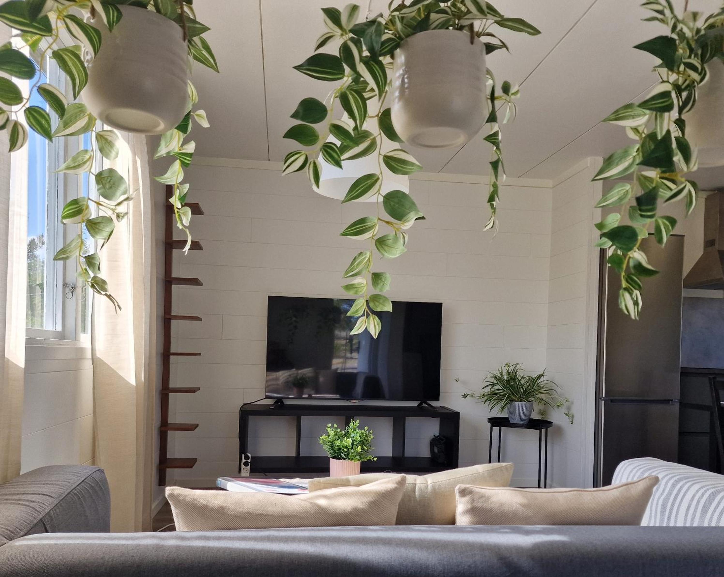 Suite - Photo 1