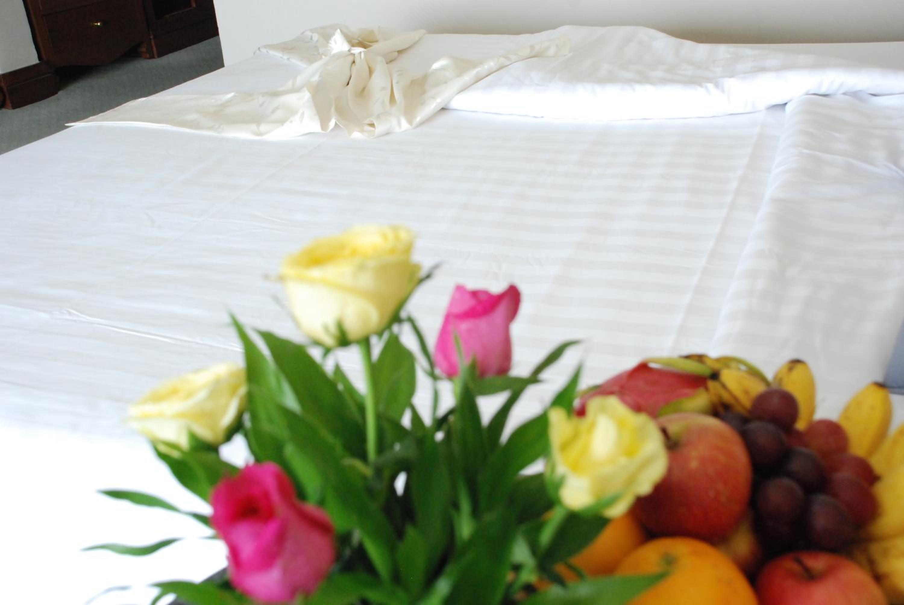Deluxe Double or Twin Room with City View - Photo 13