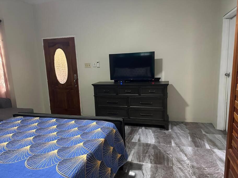 One-Bedroom Apartment photo 3