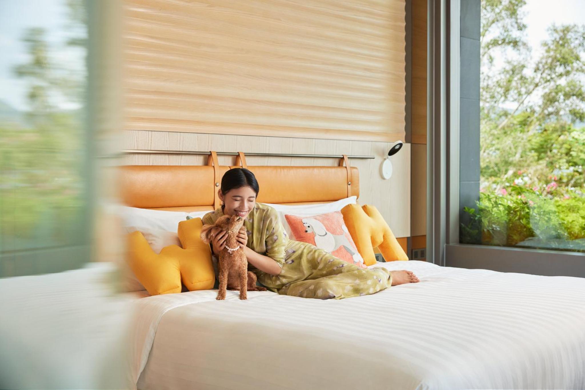 King Suite with Terrace Access - Dog-Friendly King Suite with Terrace Access - Dog-Friendly