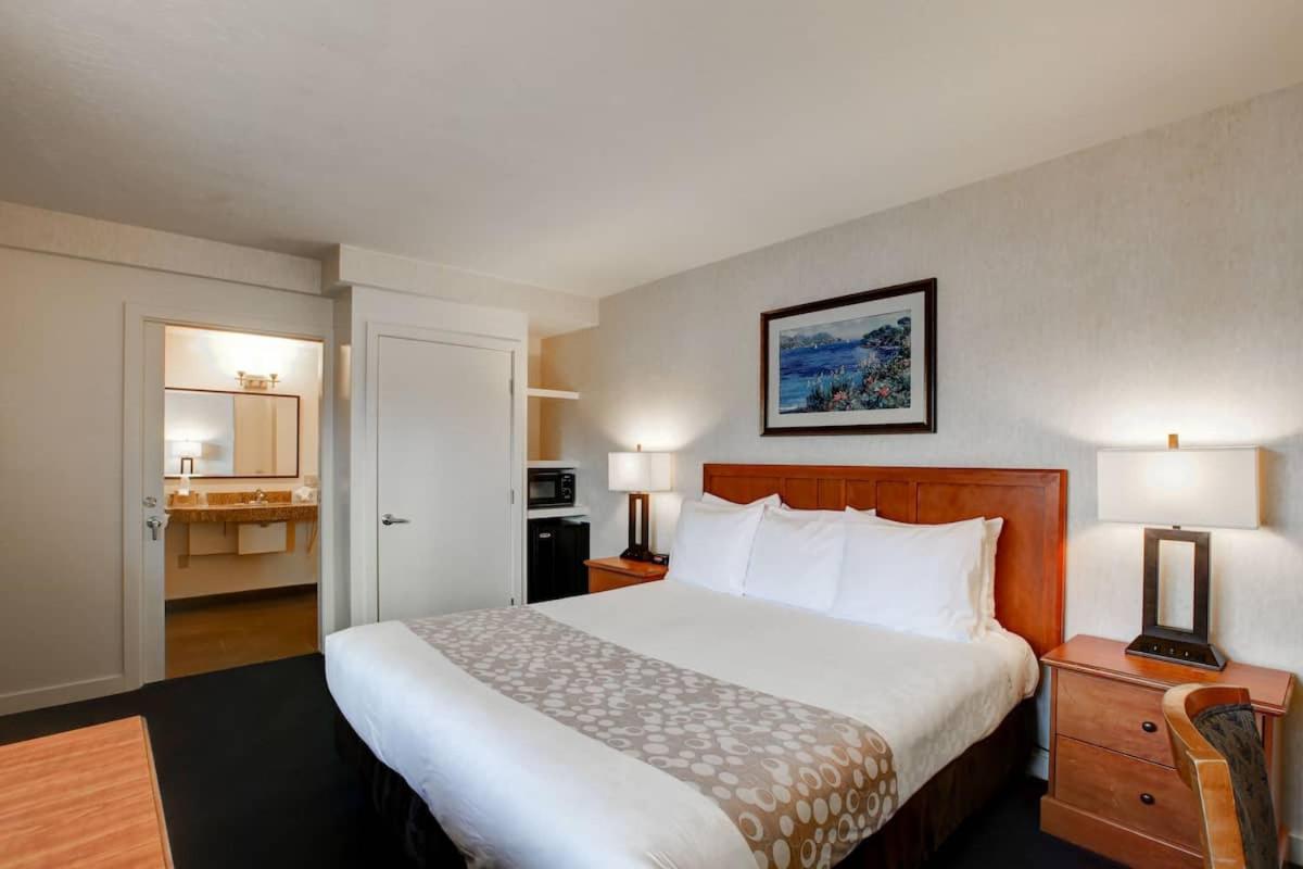 King Room - Disability Access photo 3