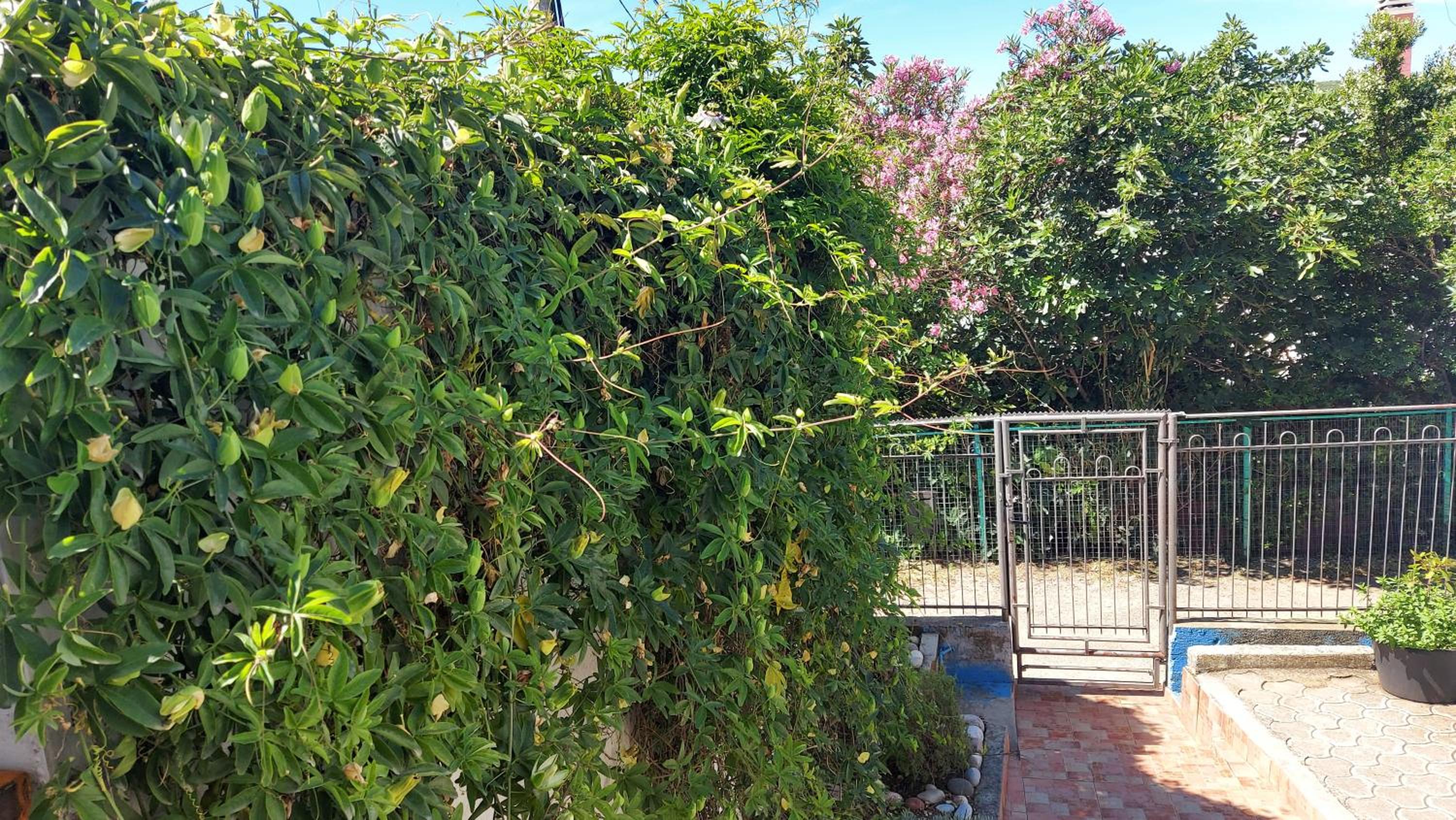 One-Bedroom Apartment With Garden View