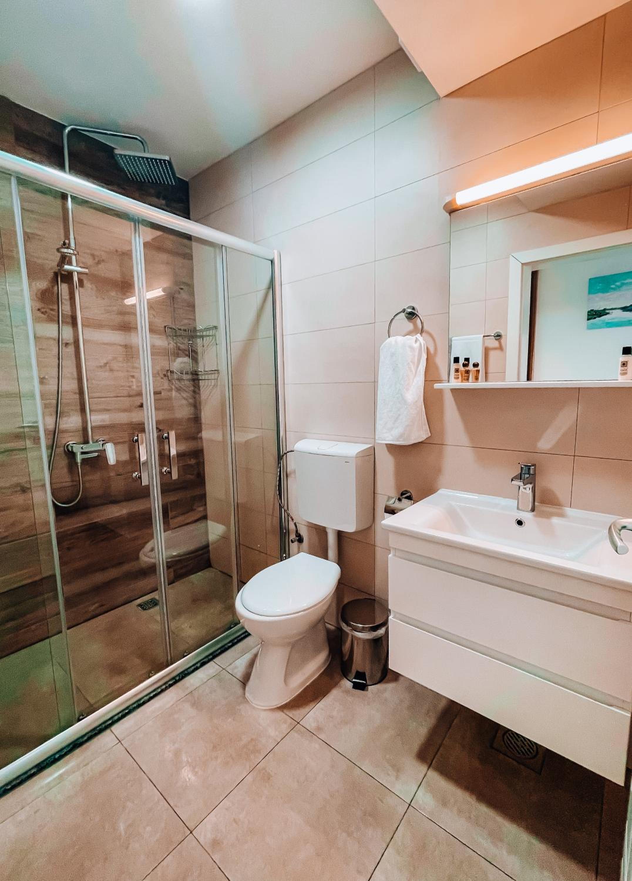 Deluxe Double Or Twin Room photo 1