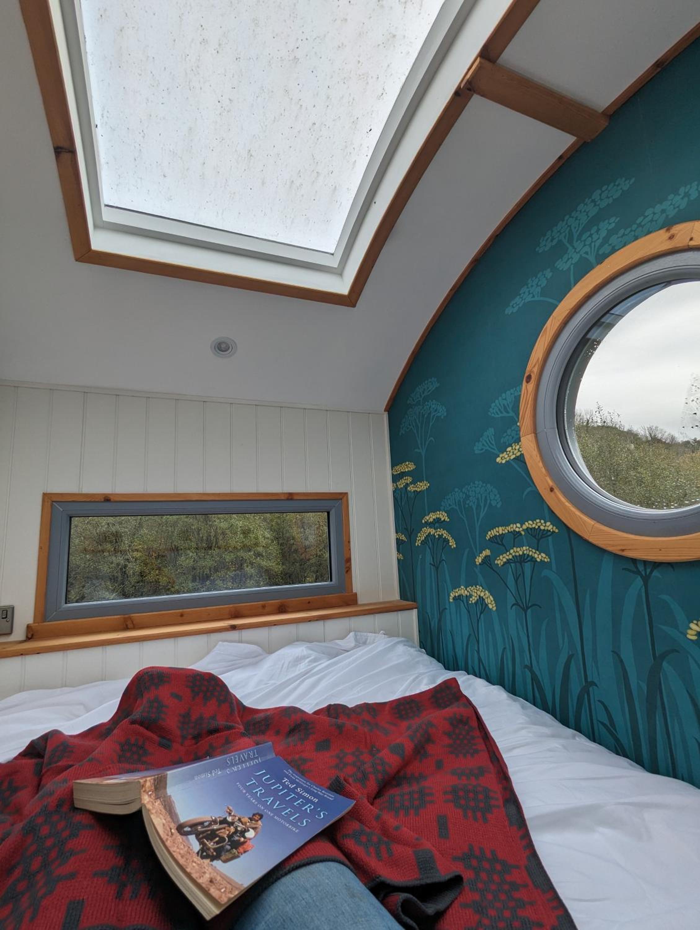 Standard King Room photo 2