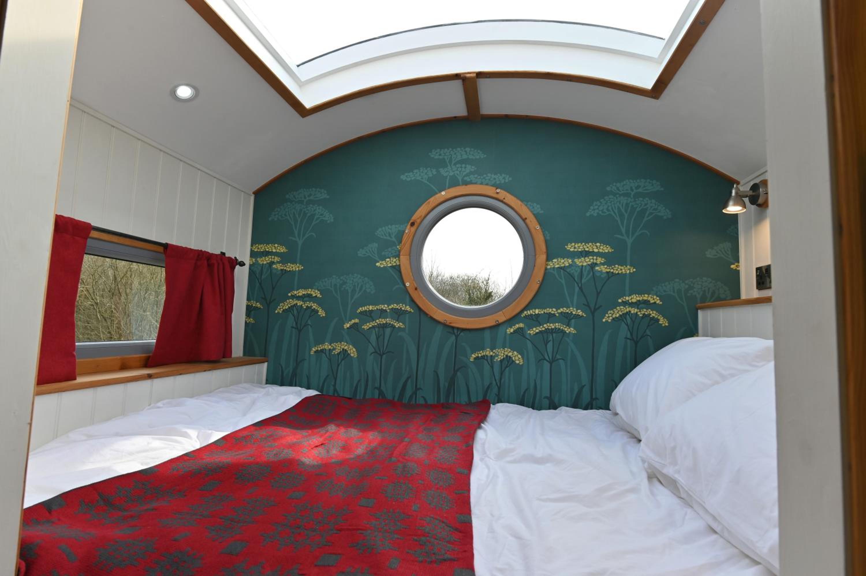 Standard King Room photo 1