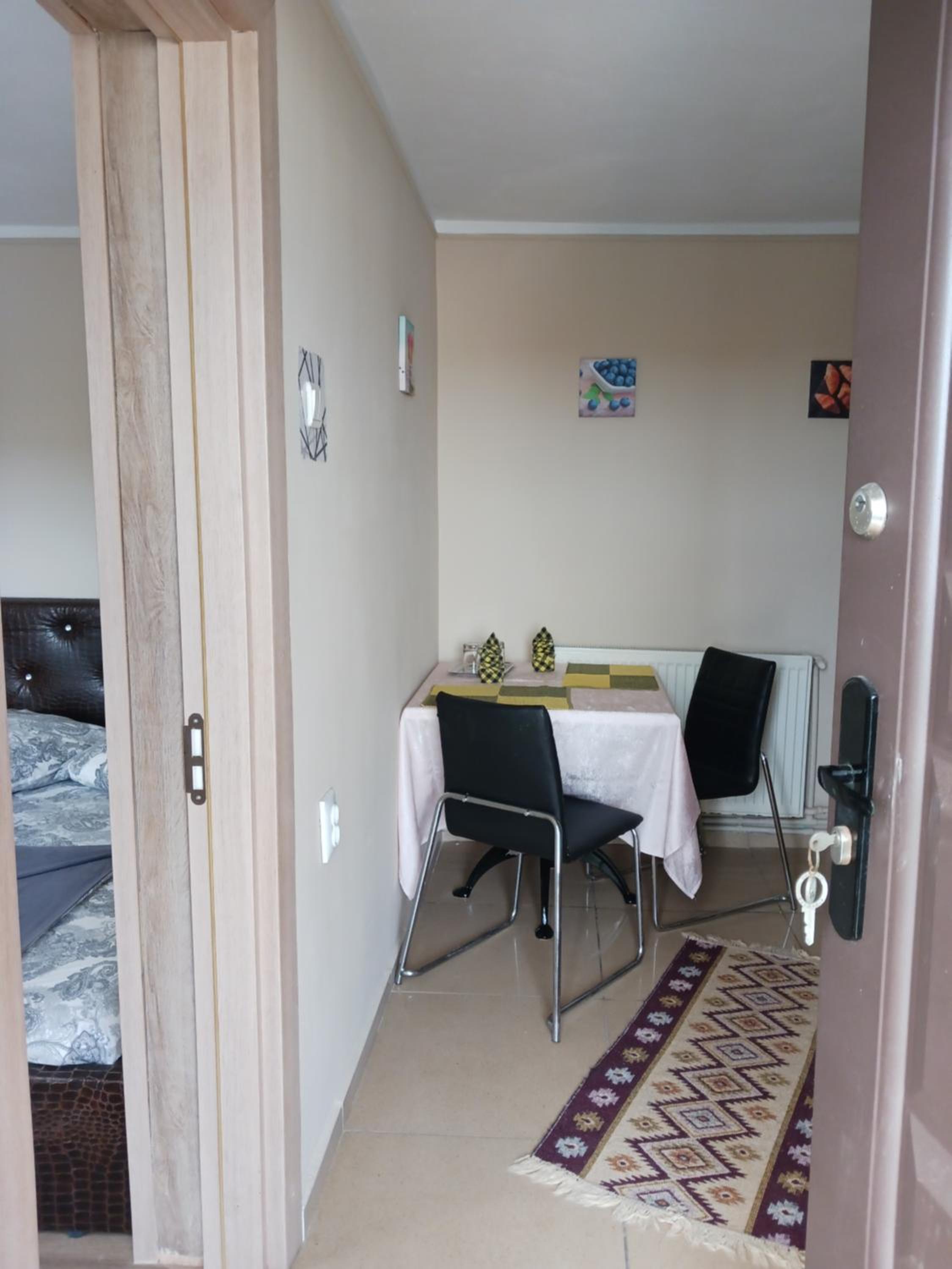 One-Bedroom Apartment photo 3