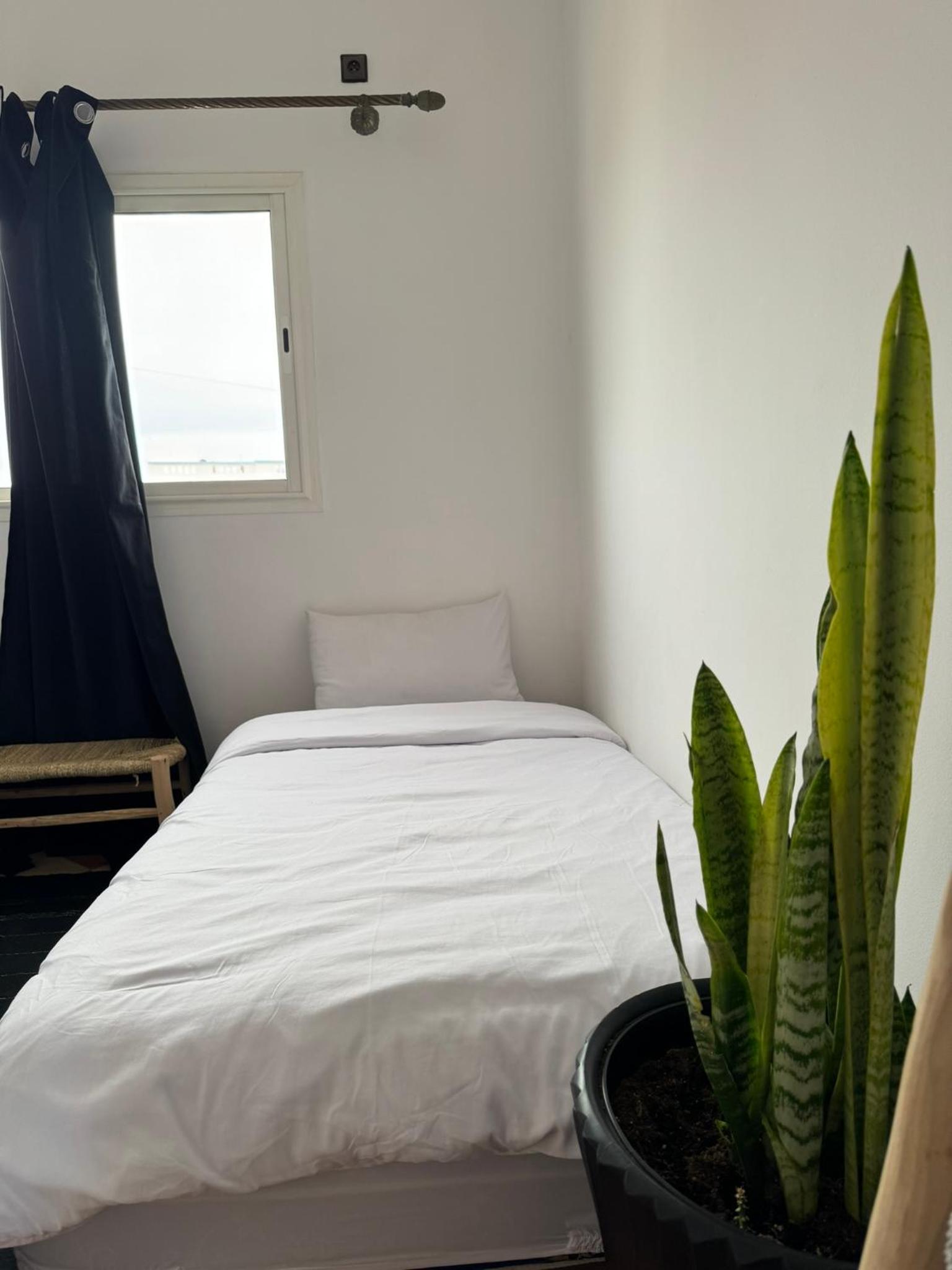 Bunk Bed in Mixed Dormitory Room photo 3