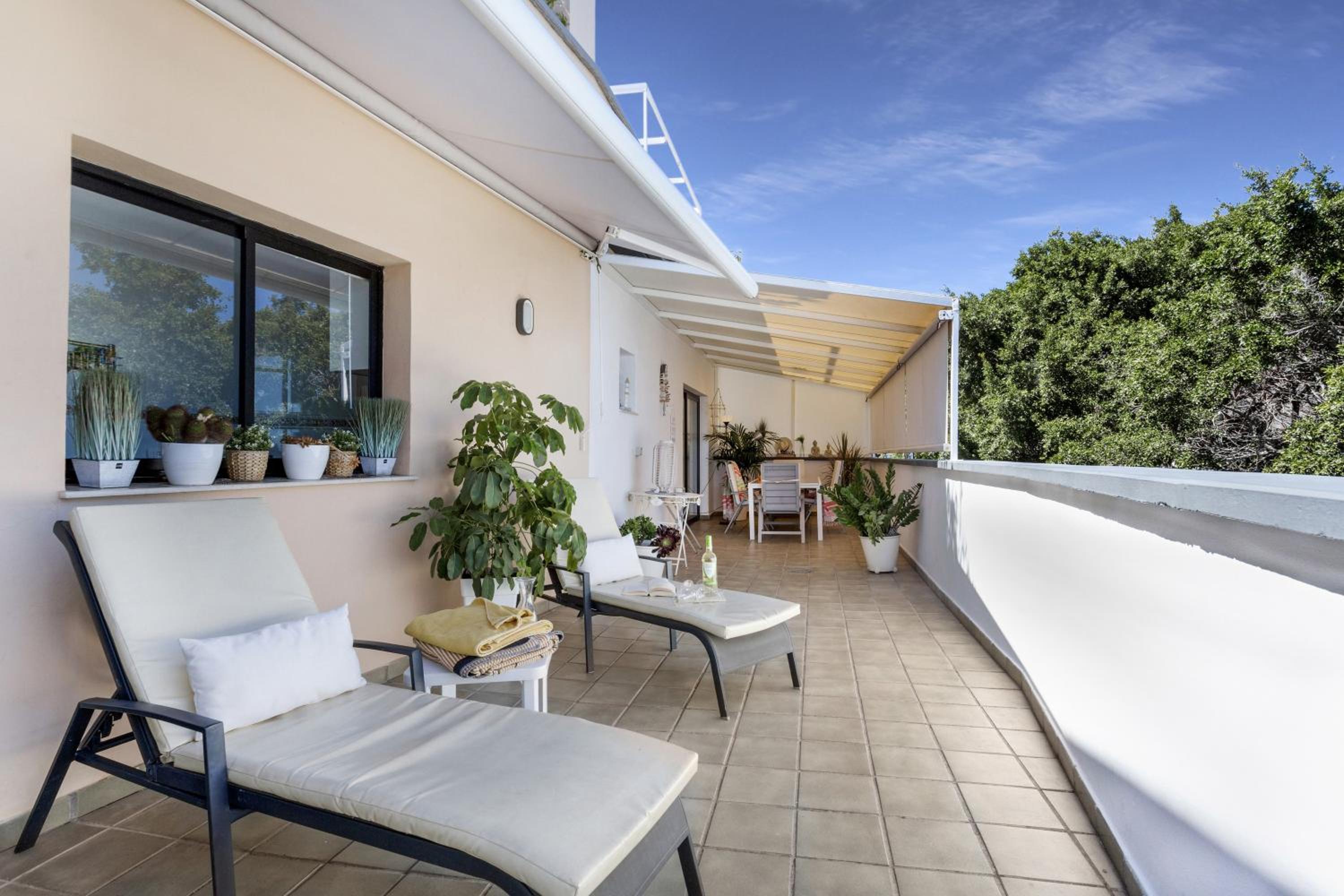Apartment with Terrace photo 2