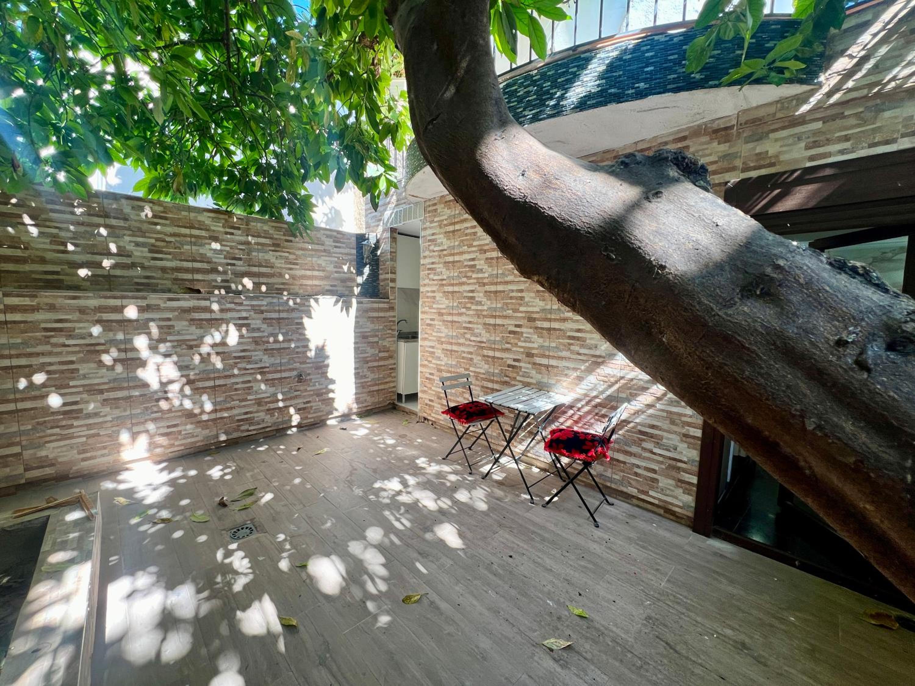 Studio with Terrace - Photo 8