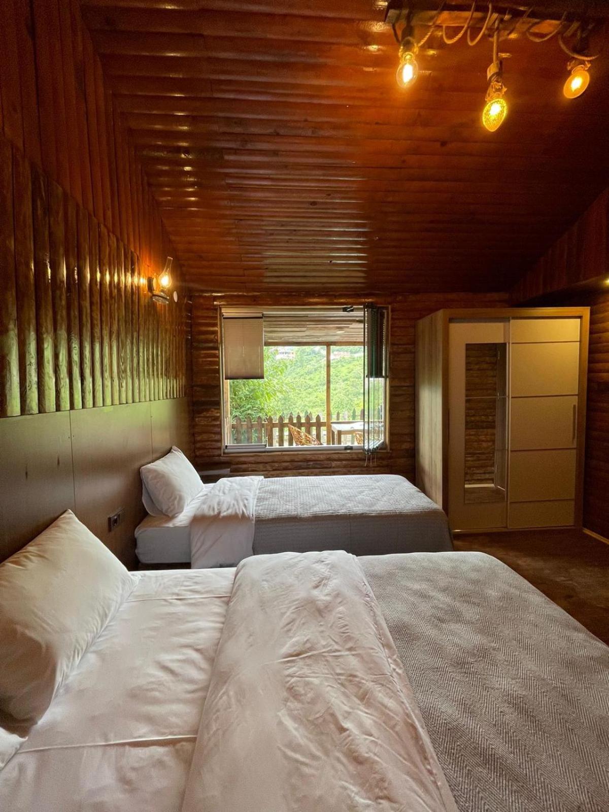 Family Suite photo 1
