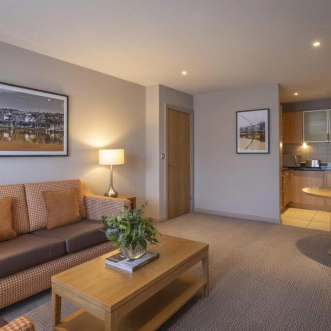 Deluxe One-Bedroom Apartment