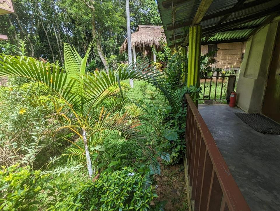 Family Room With Garden View photo 2