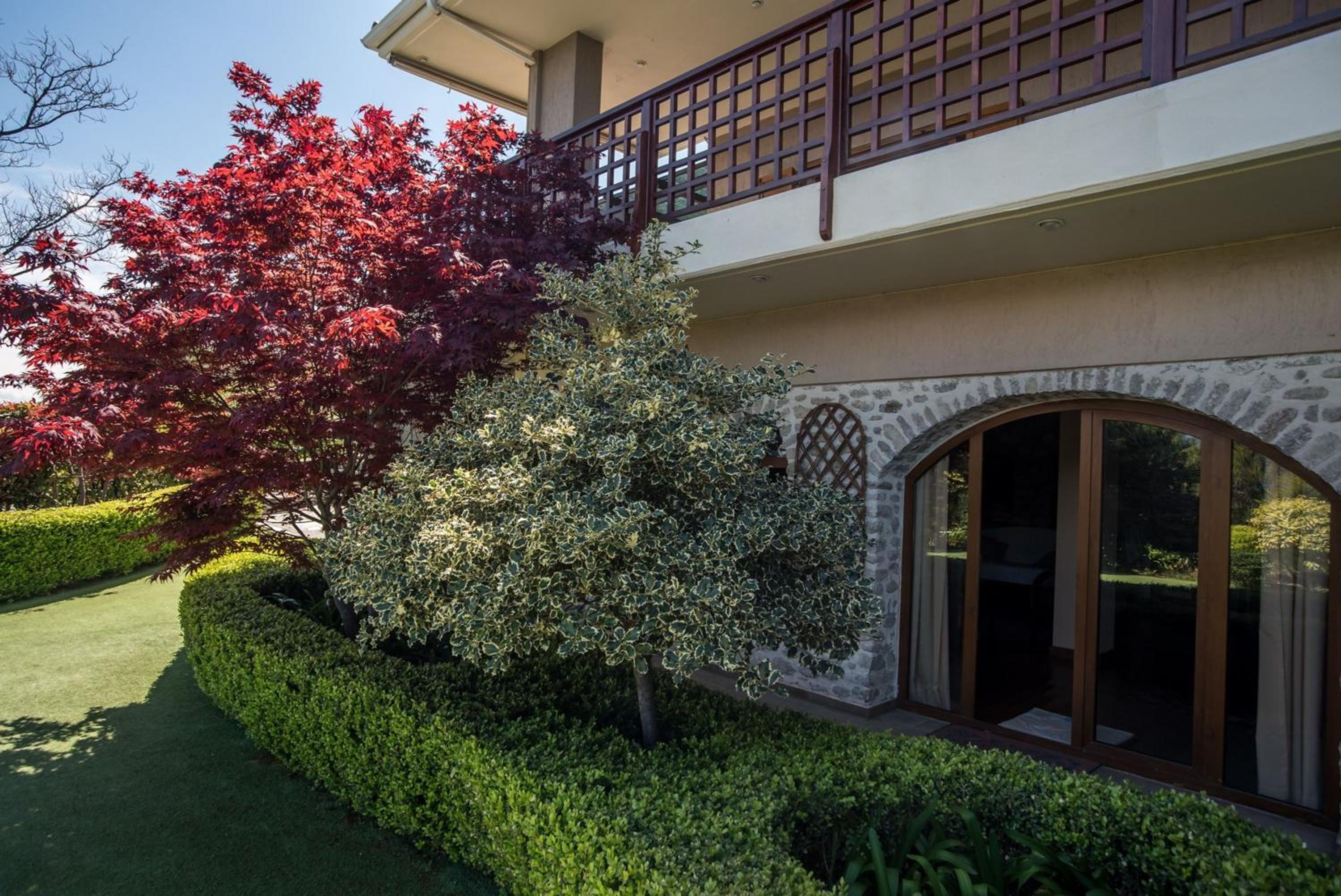 Deluxe Villa photo 2