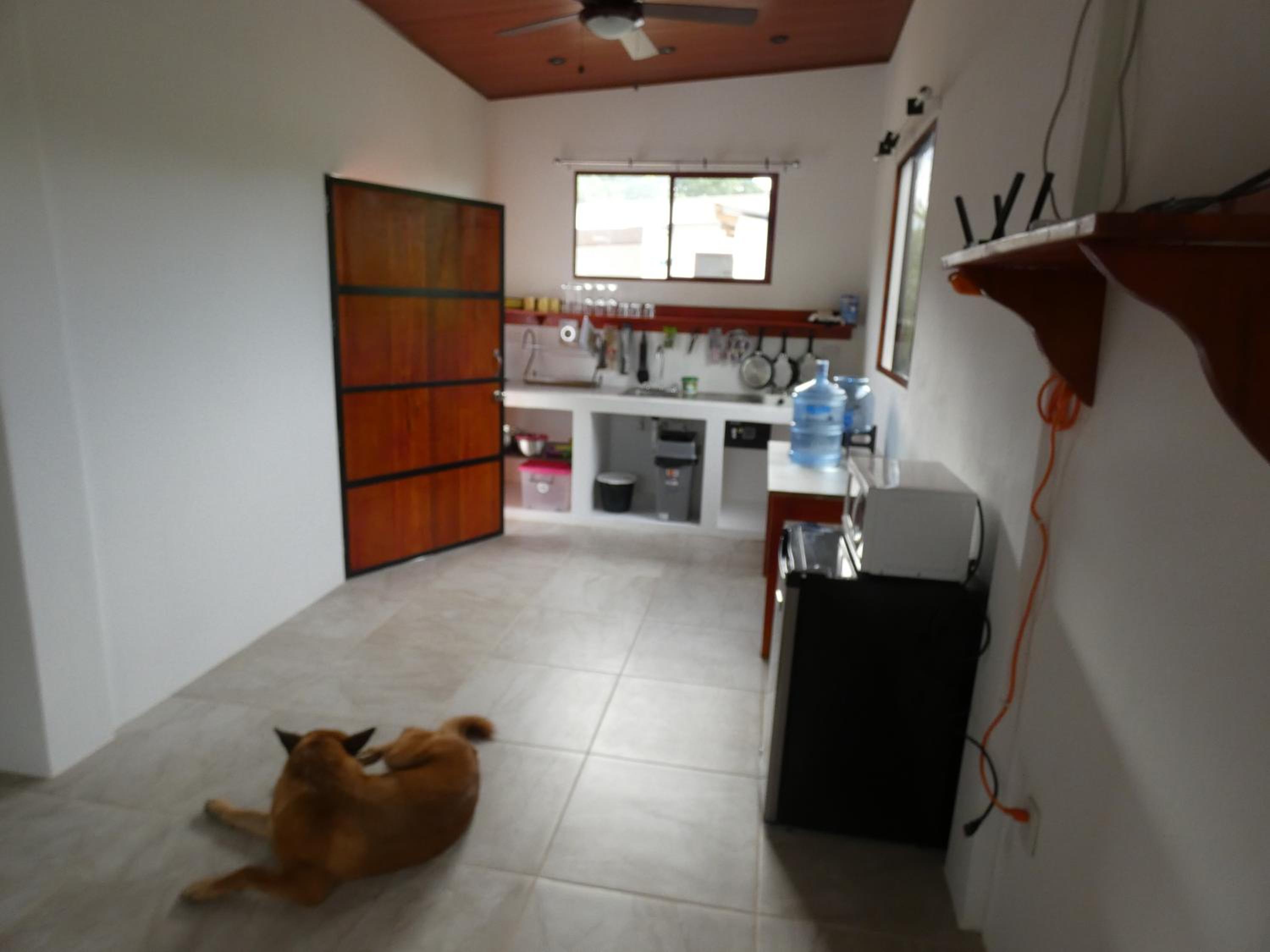 One-Bedroom House photo 3