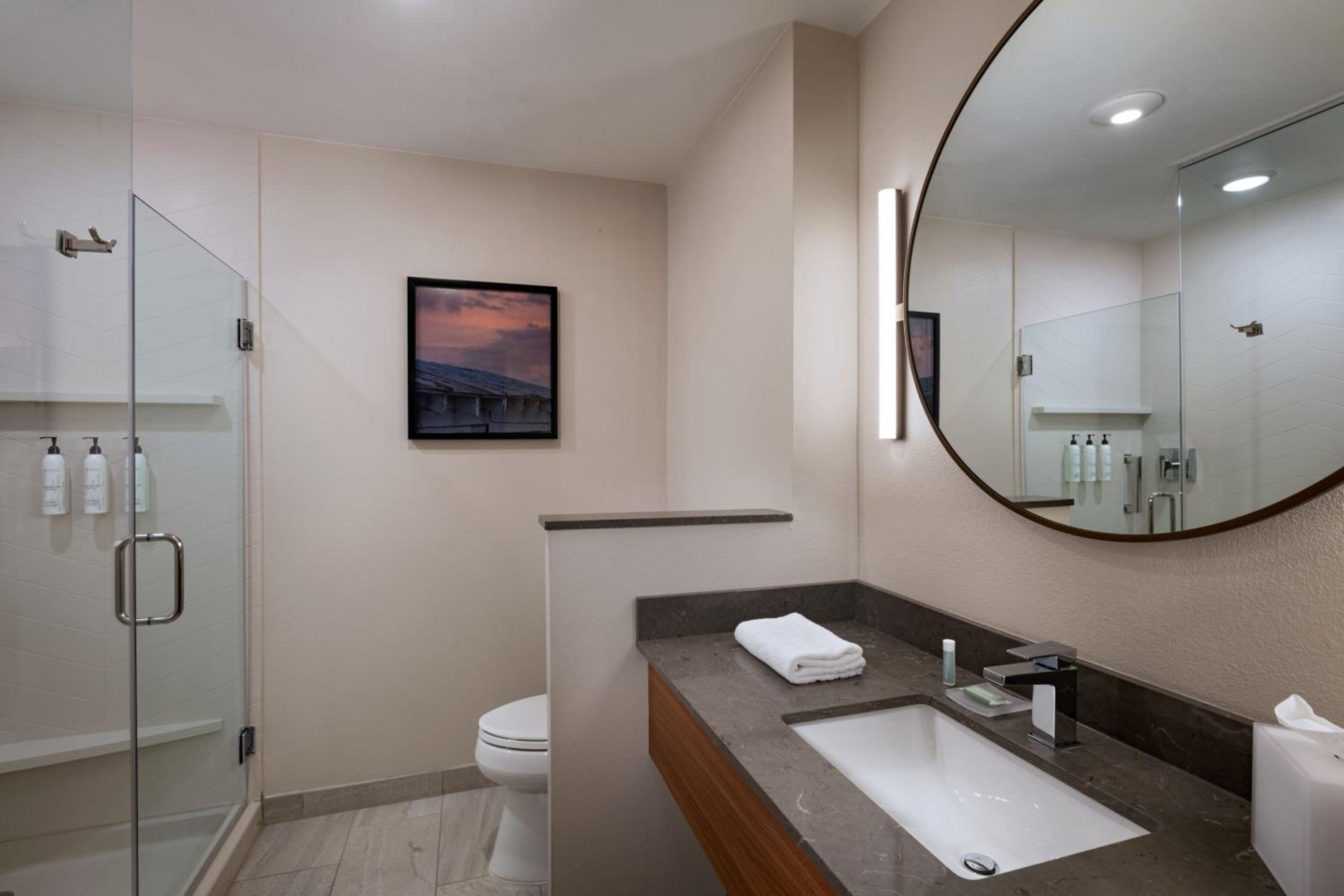 King Suite with Sofa Bed - Hearing Accessible photo 3