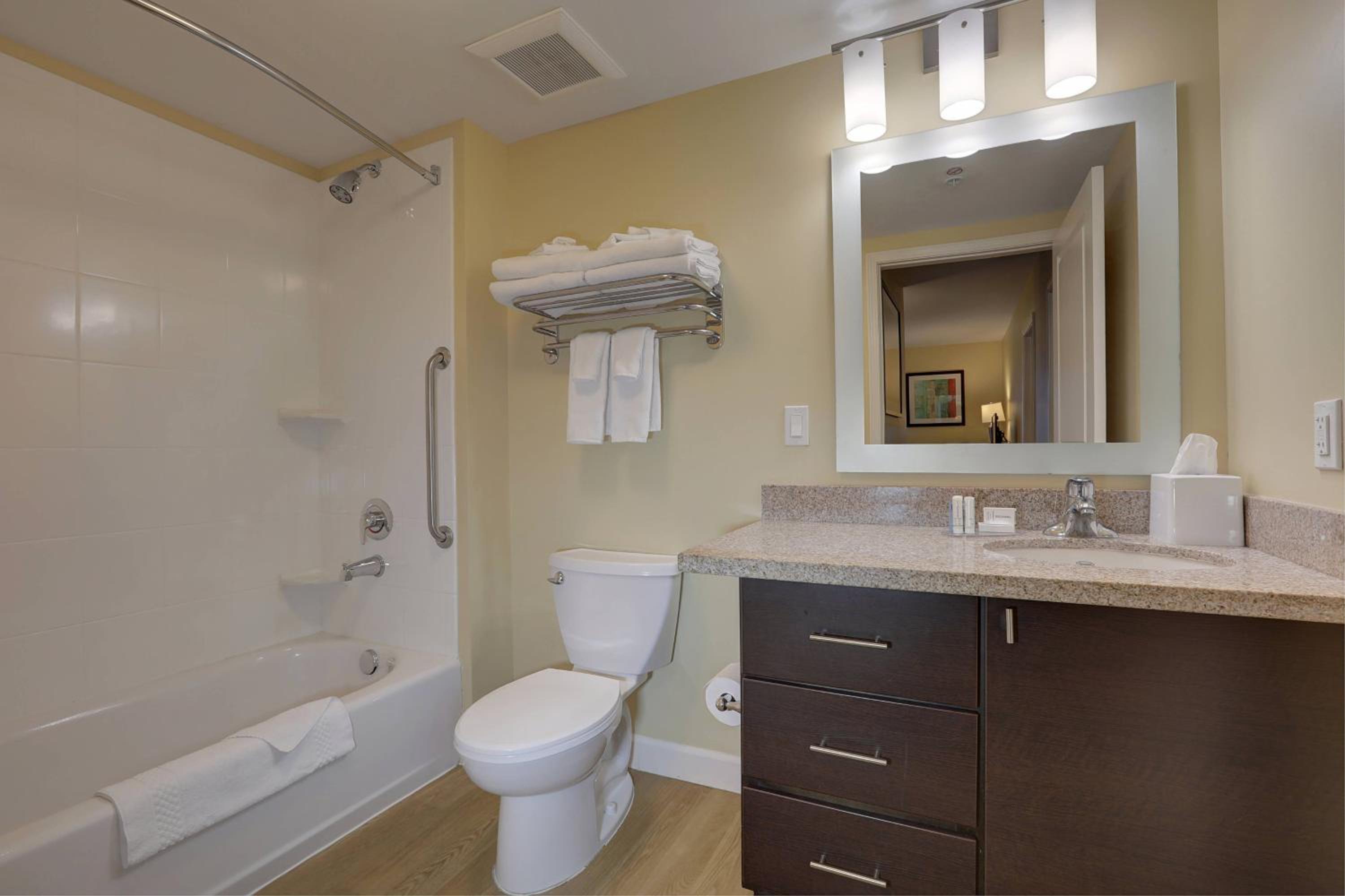 One-Bedroom Suite photo 2