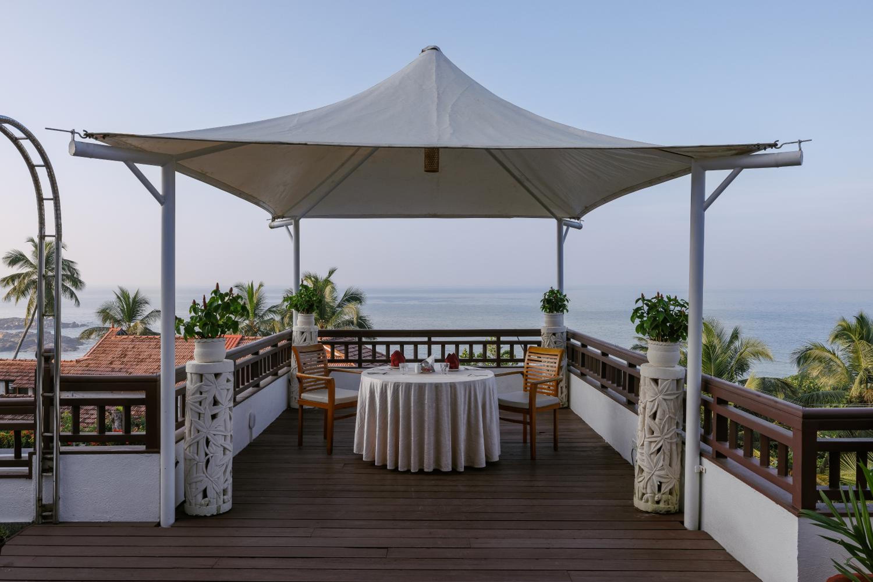 Turtle Signature Suite - Photo 21