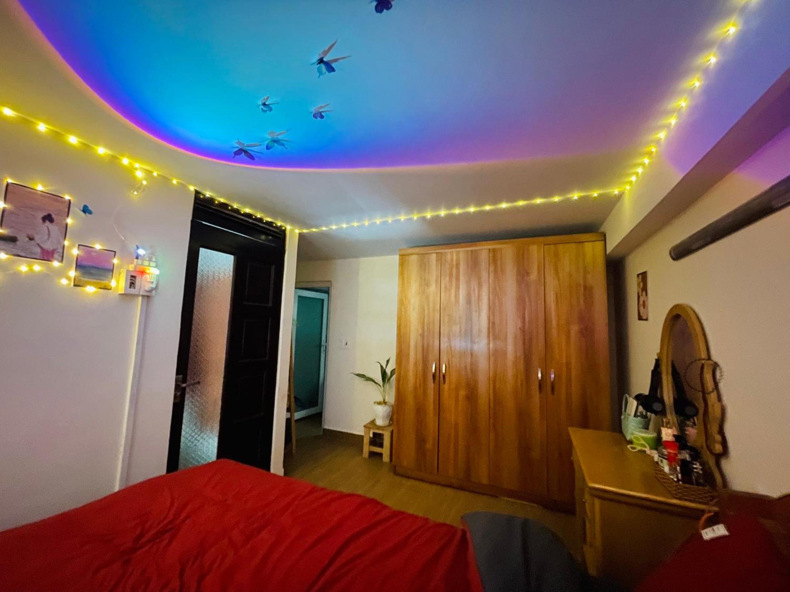 Standard King Room photo 2