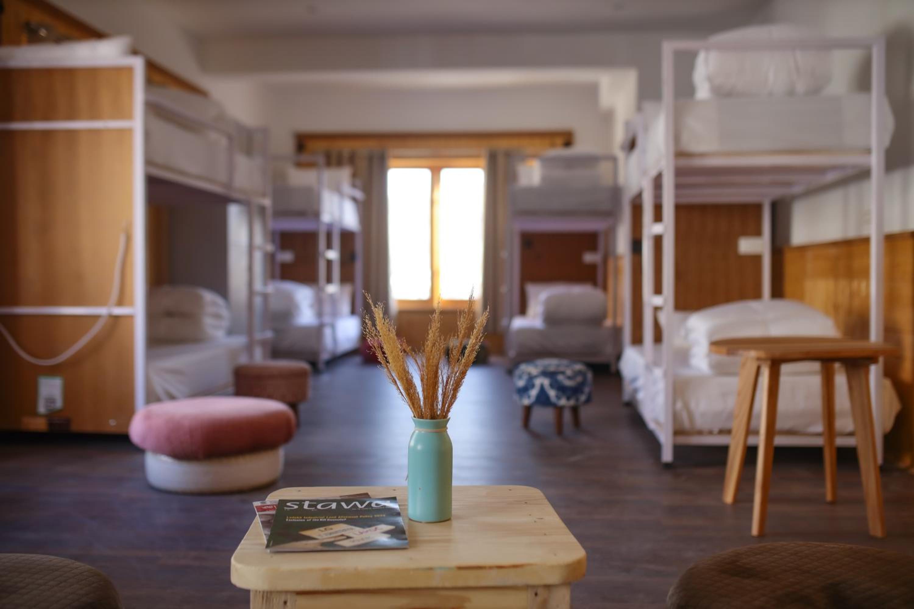 Mixed Dormitory Room photo 1