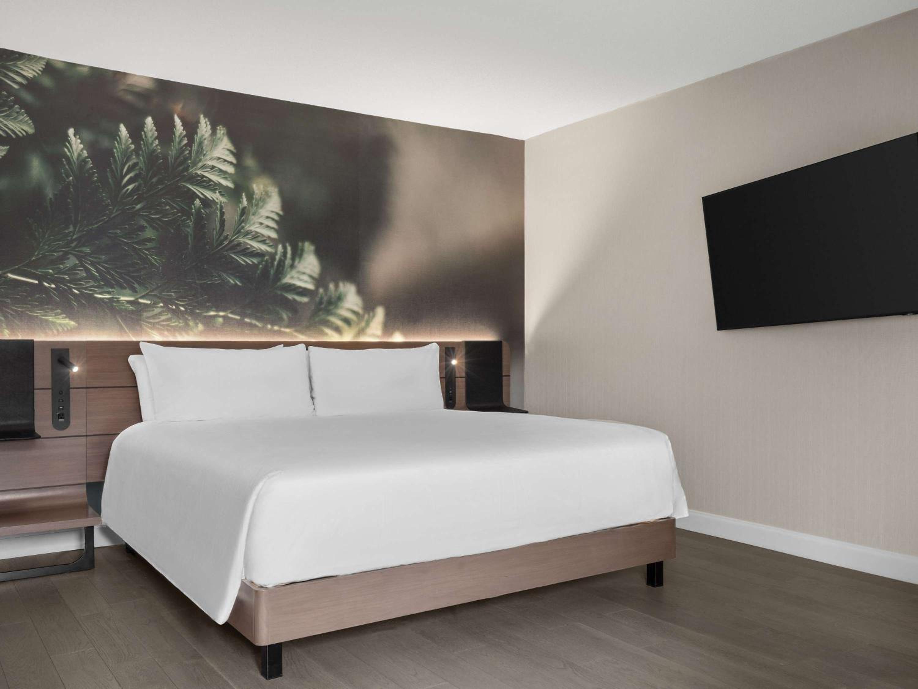 Junior Suite with King Bed - Non Smoking