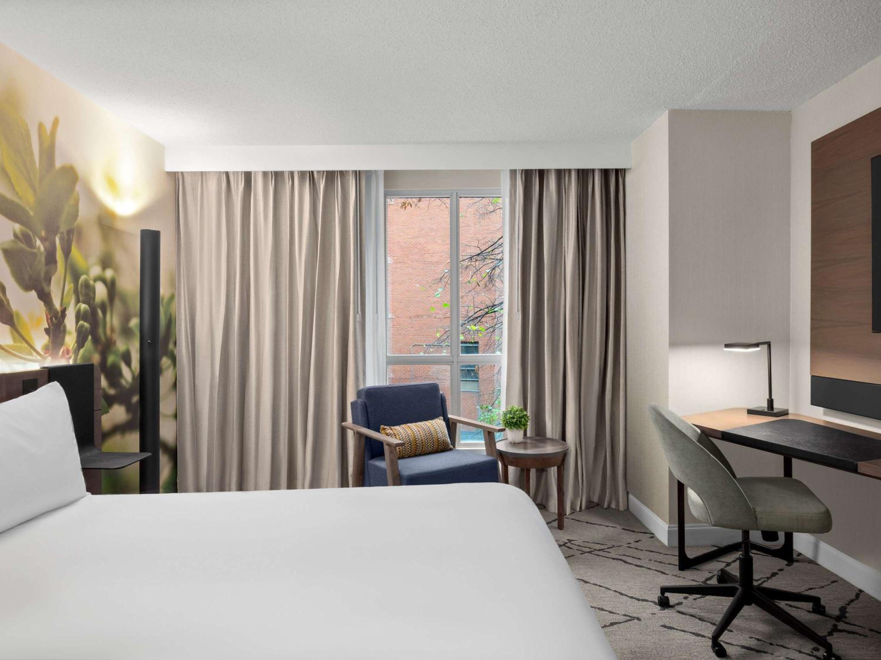 Superior King Room - Renovated - Photo 10