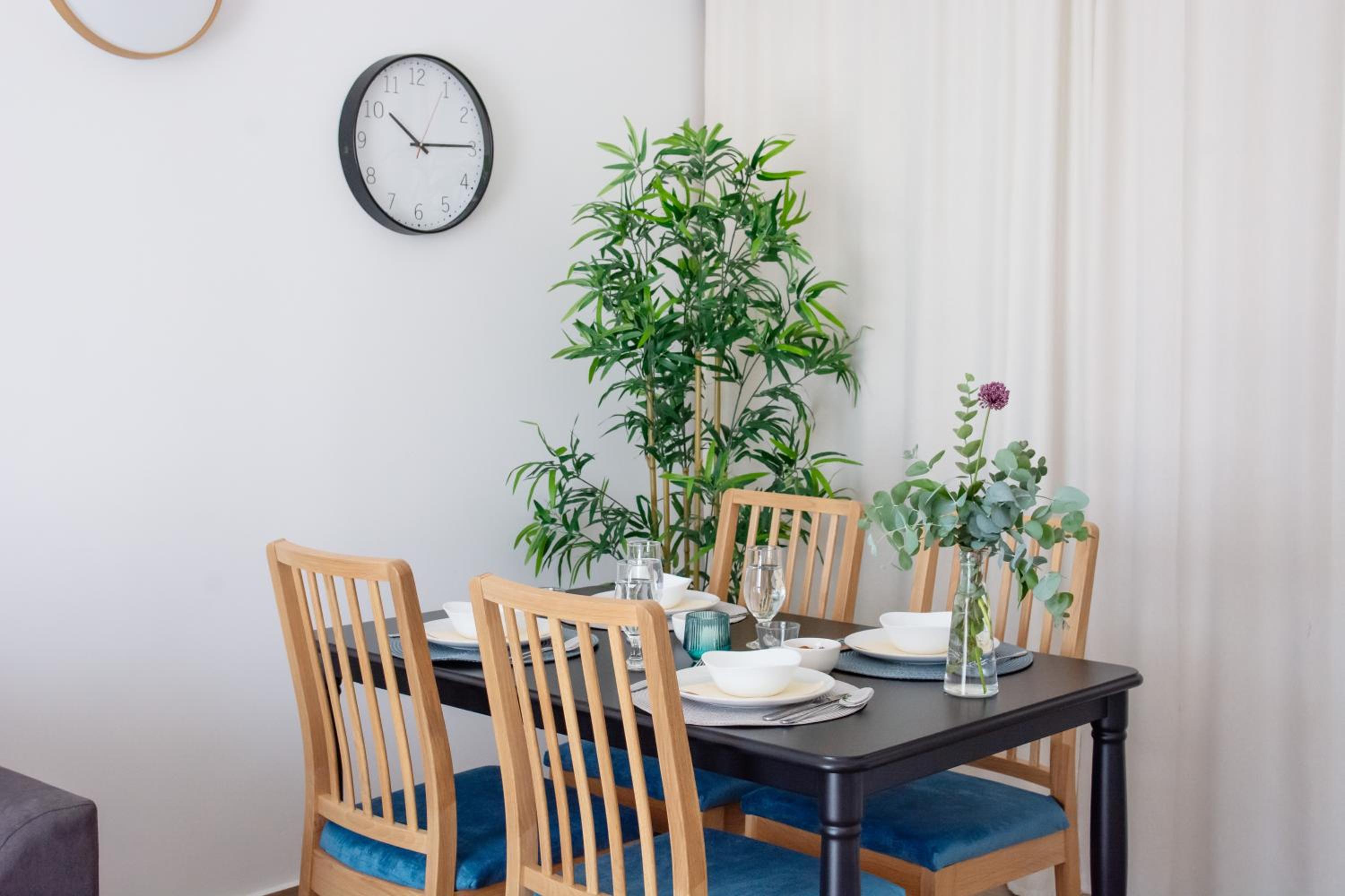 Studio with Terrace photo 3