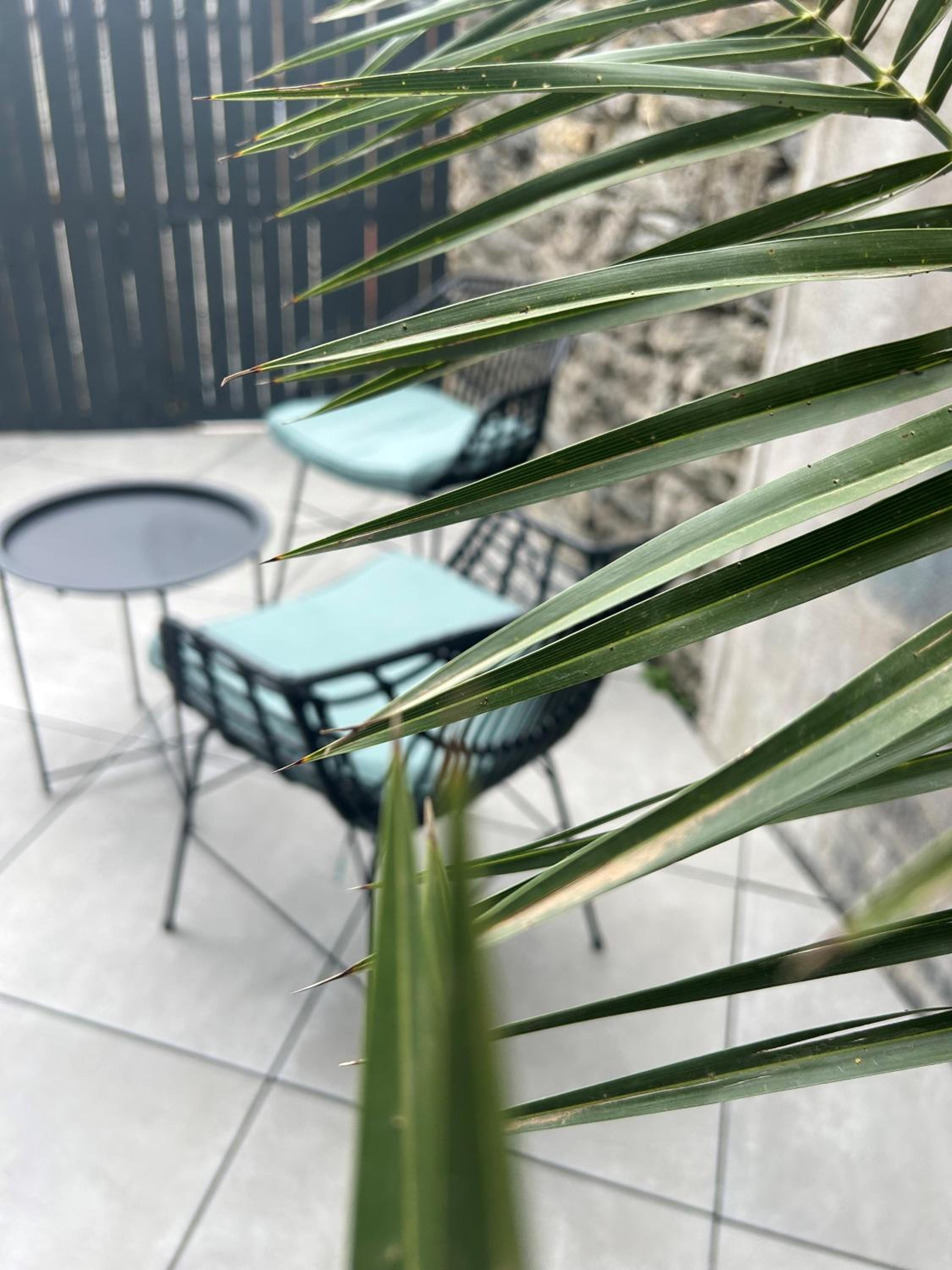 Superior King Room photo 3