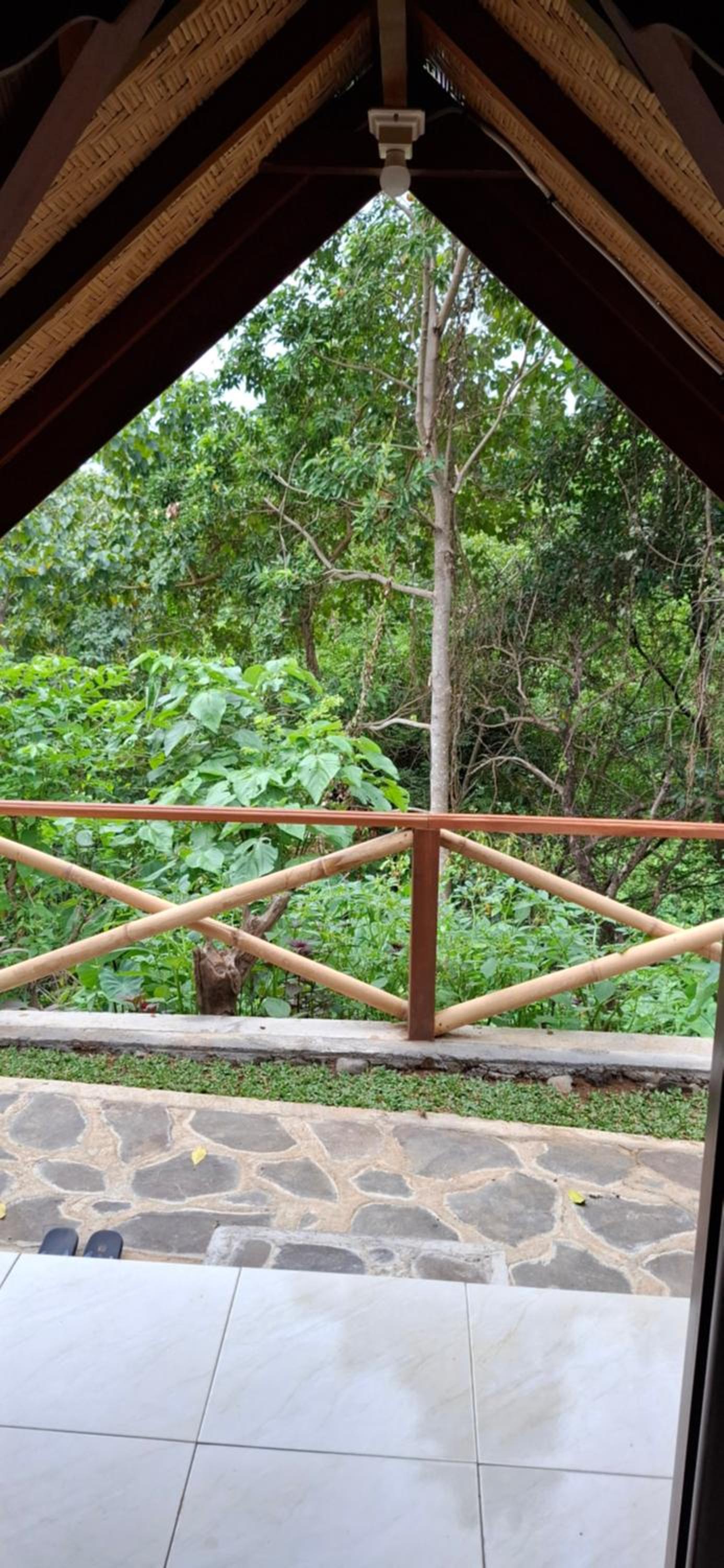 Double Room with Mountain View photo 3