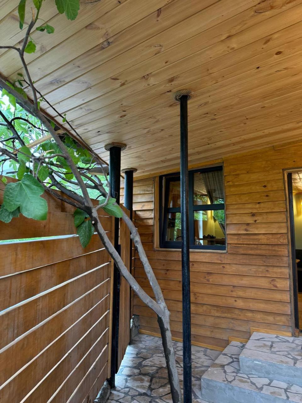 One-Bedroom House photo 3