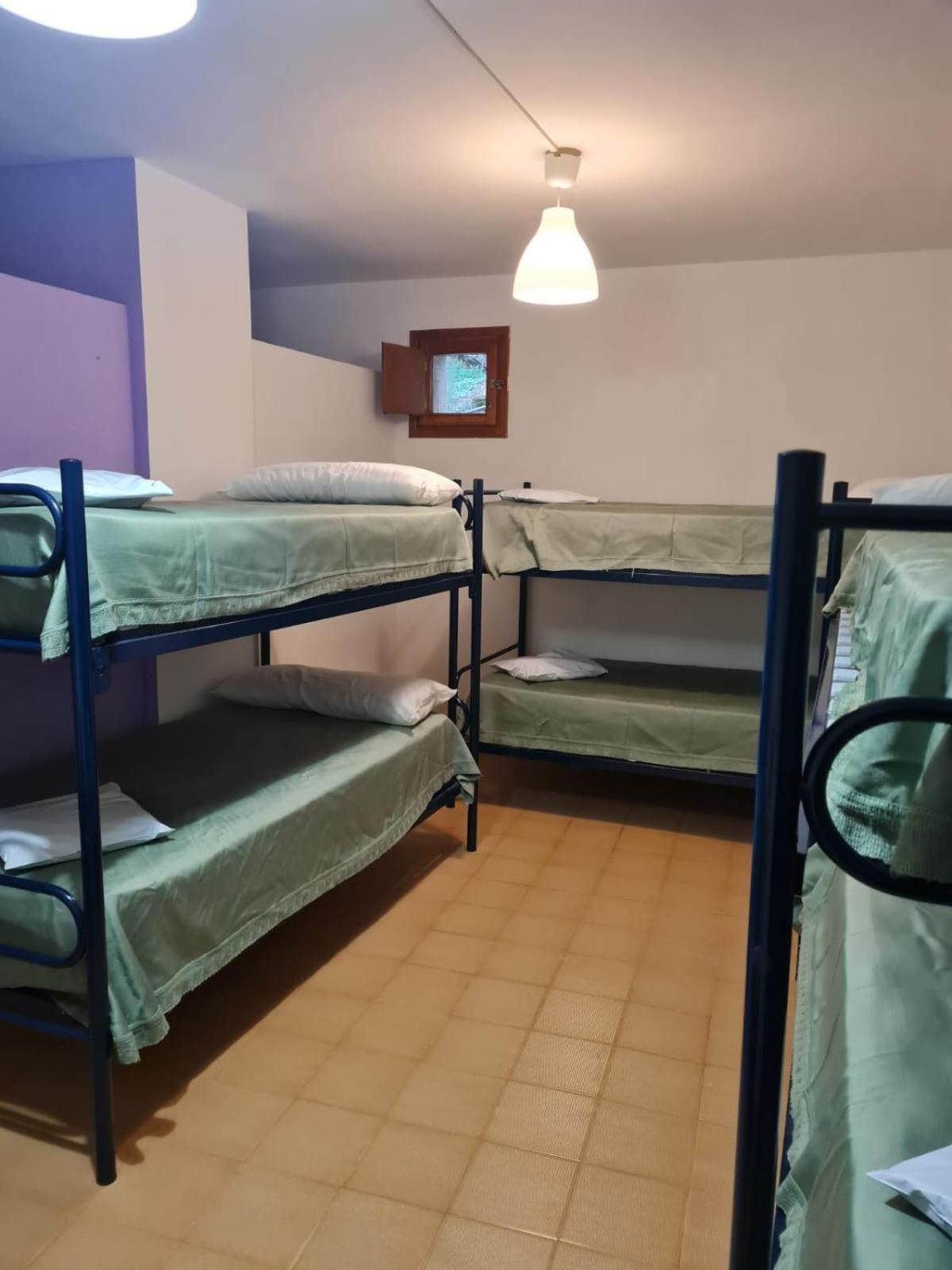 Single Bed in Dormitory Room photo 2