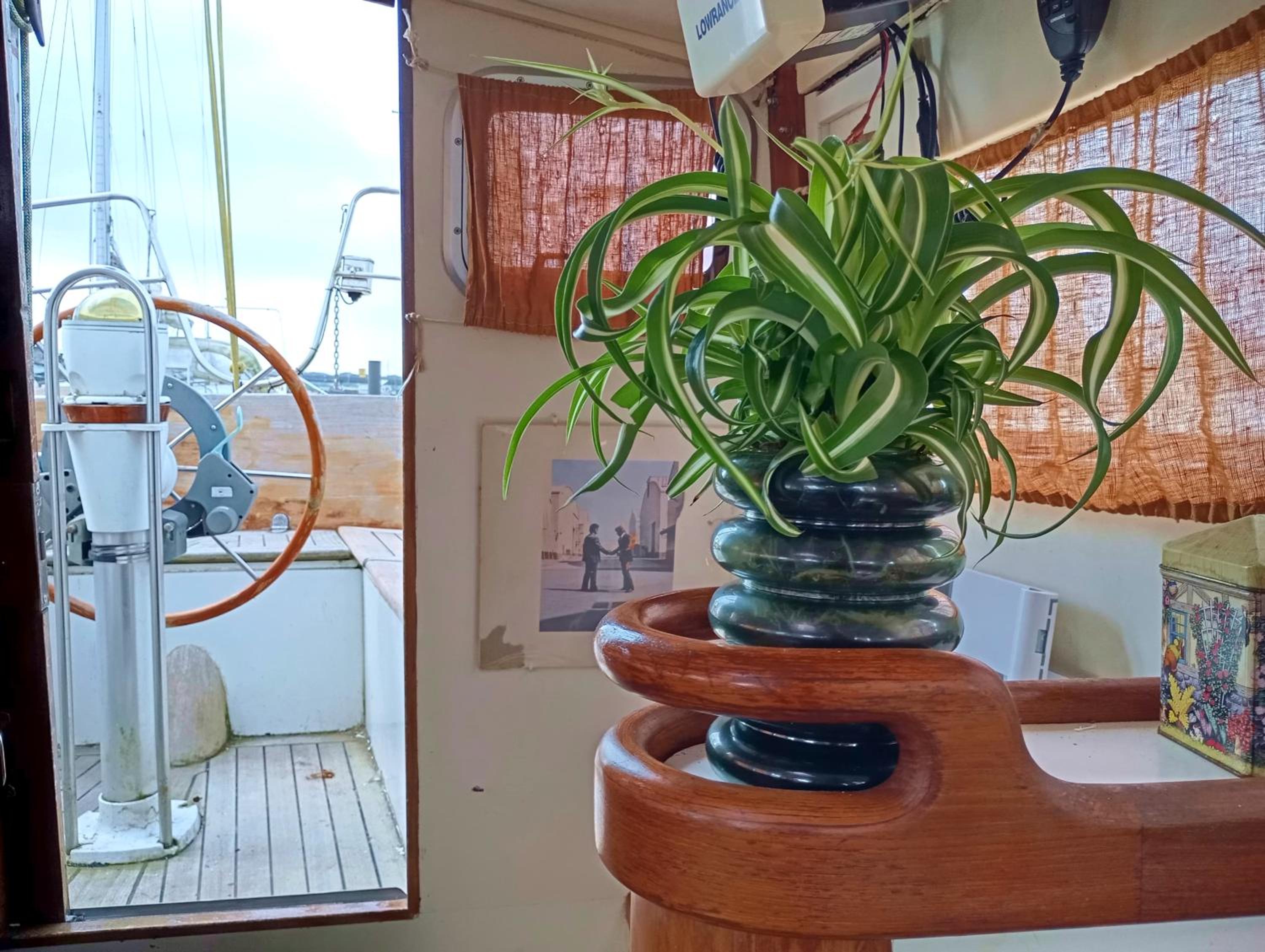 Mobile Home photo 3