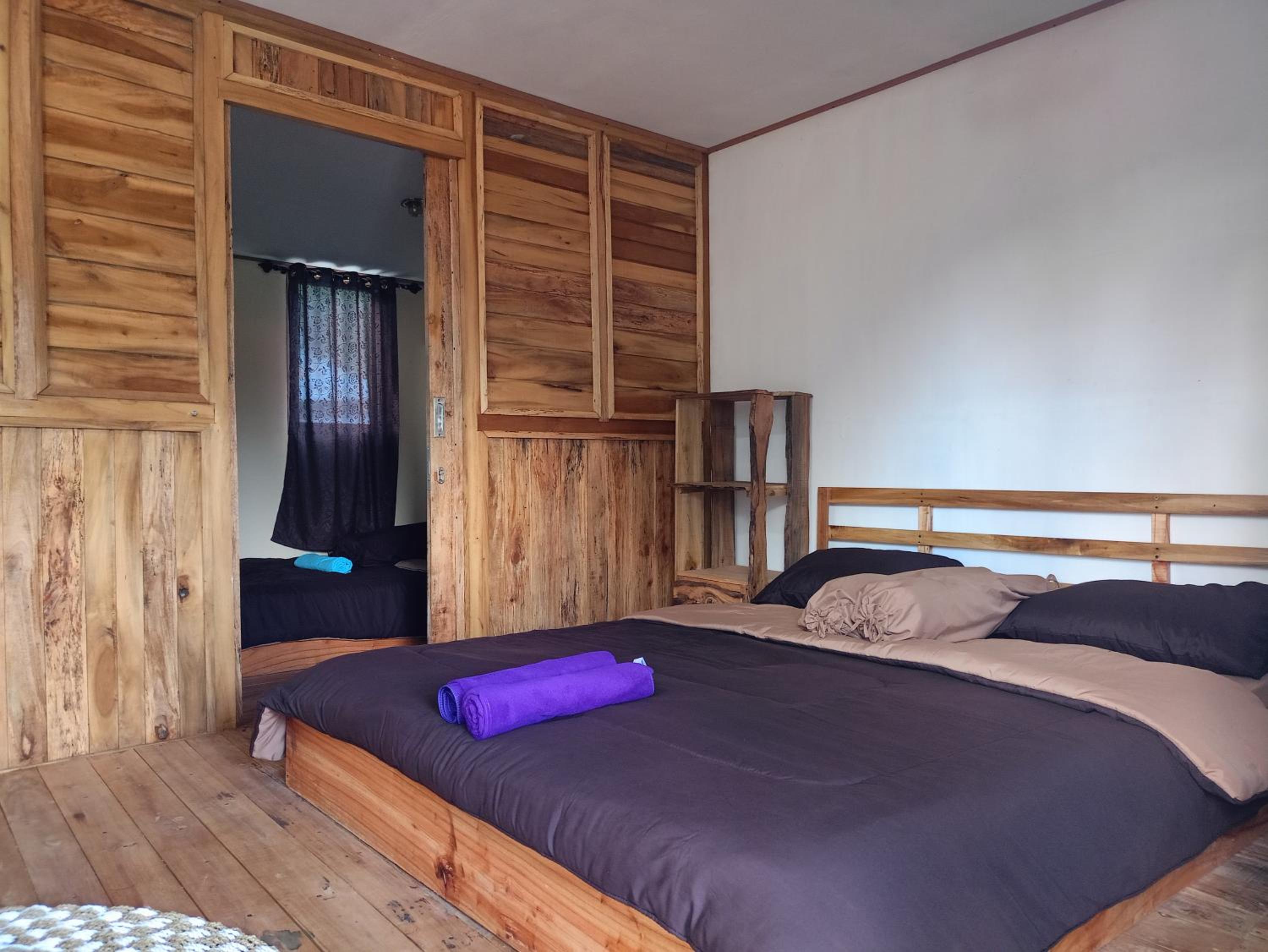 Double or Twin Room photo 1