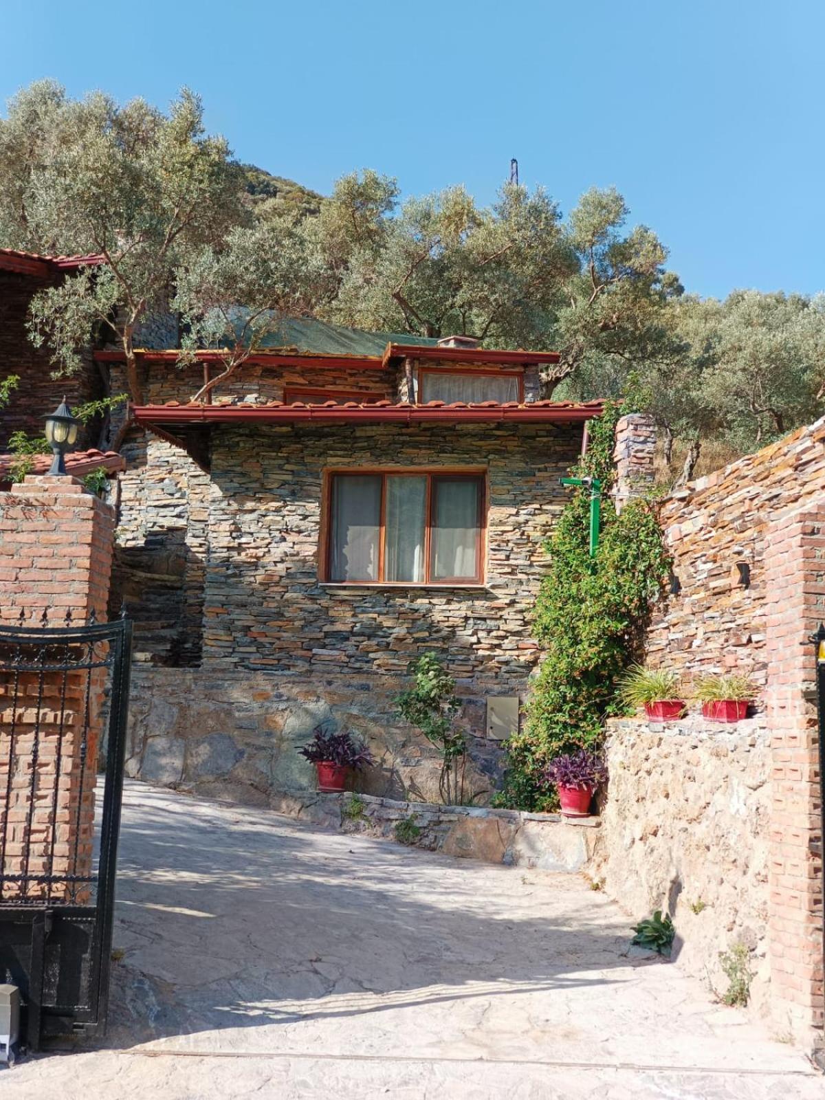 Chalet - Photo 9