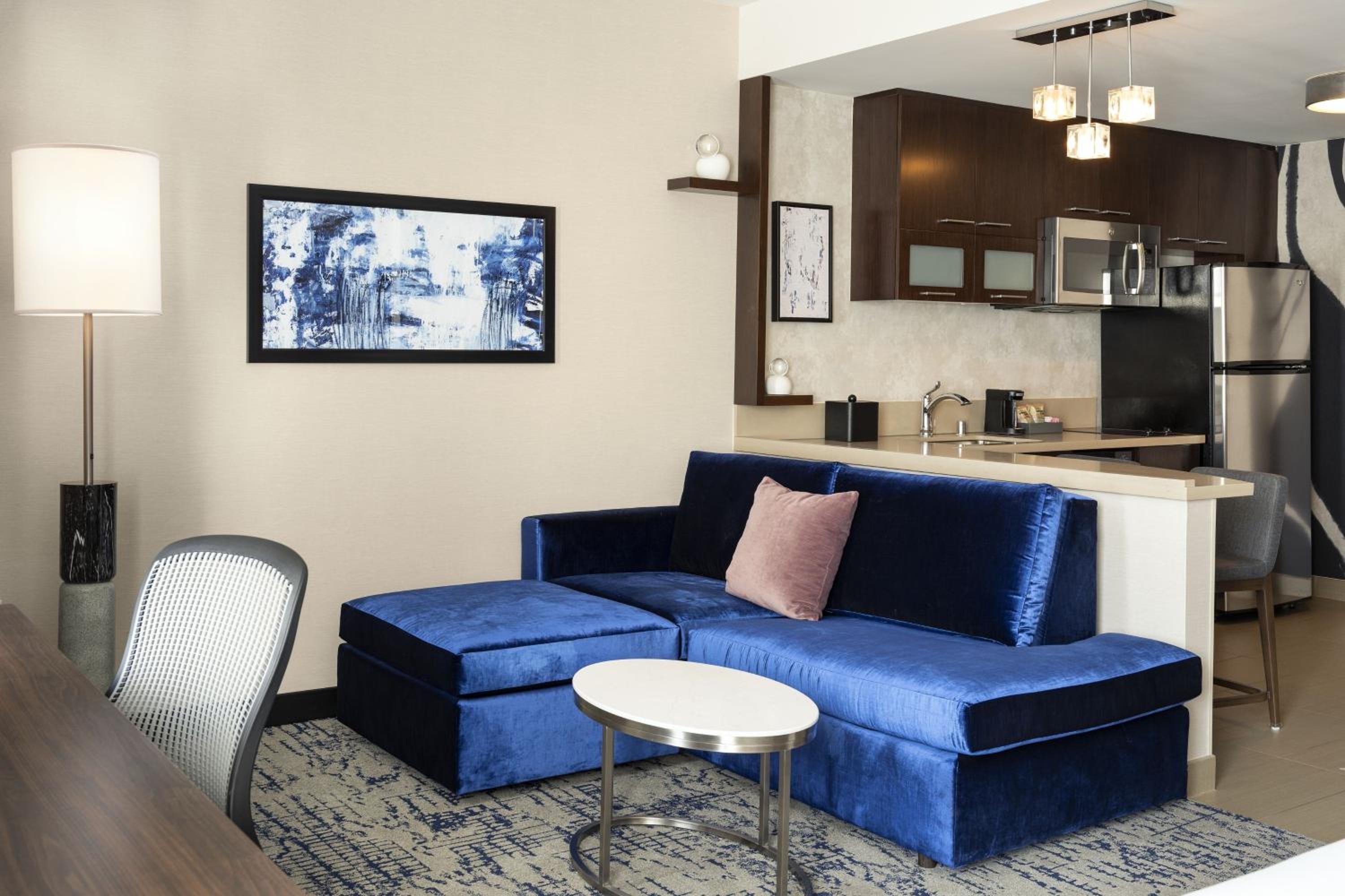 Studio King  Room with Sofa Bed and Roll-In Shower - Mobility Accessible