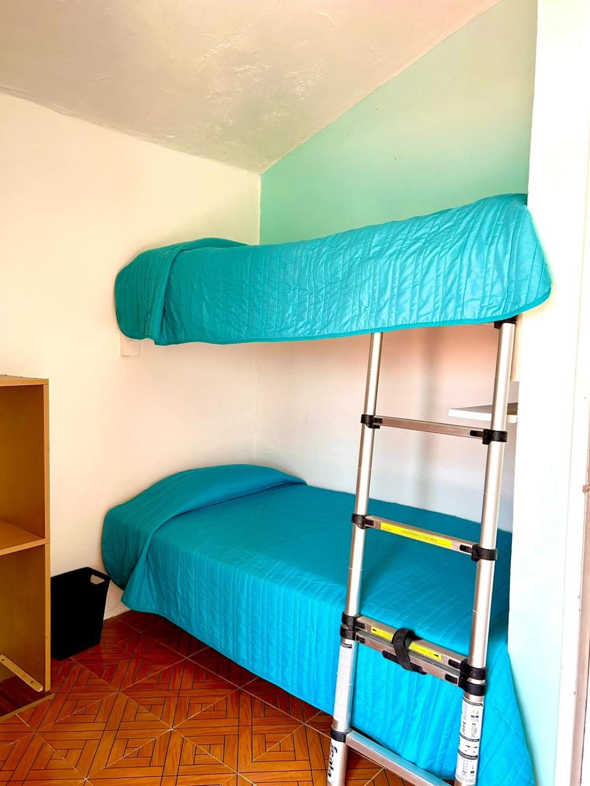 Twin Room photo 2