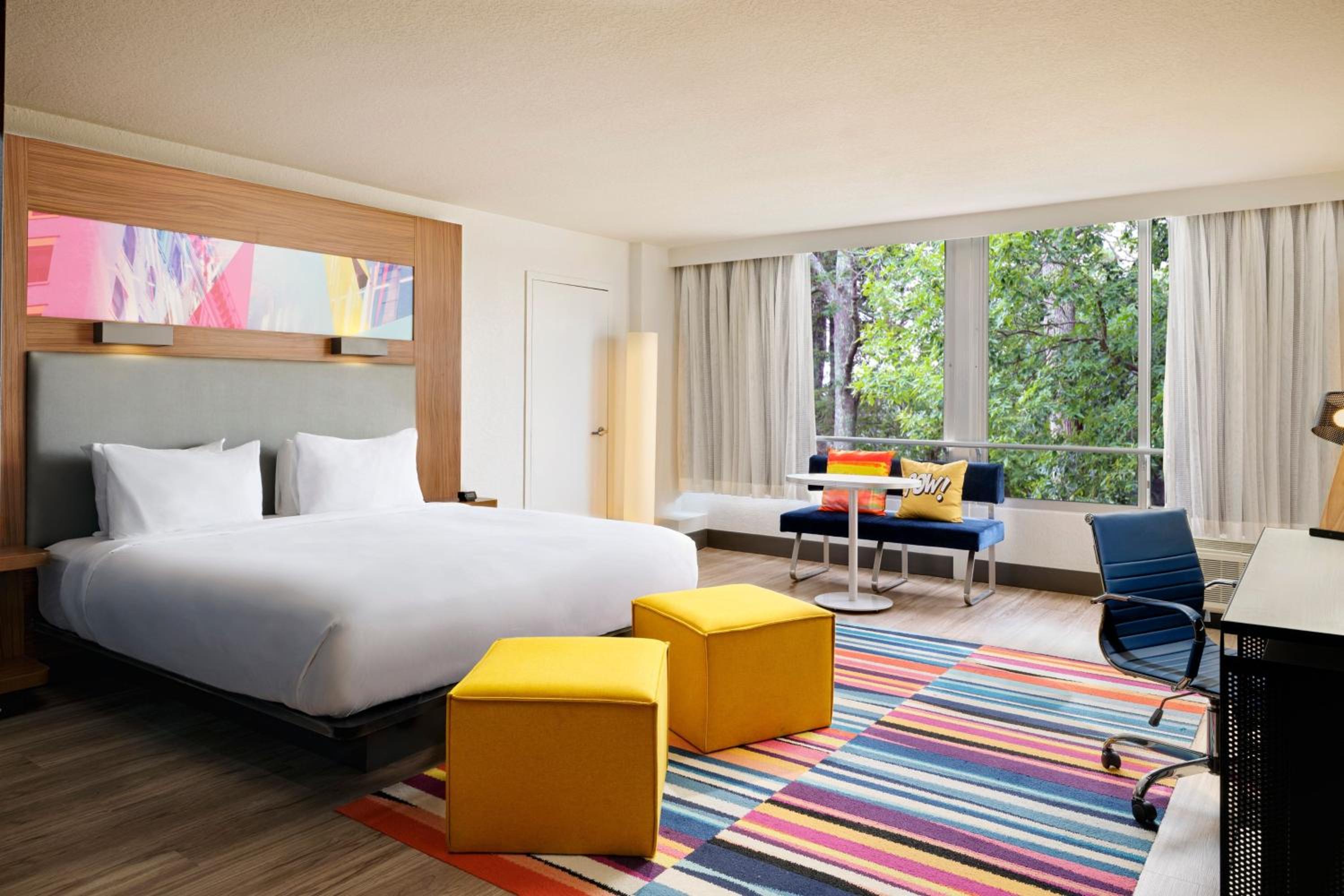 Savvy Room, Larger Studio, 1 King, Alternate bed: sofa bed - Photo 3