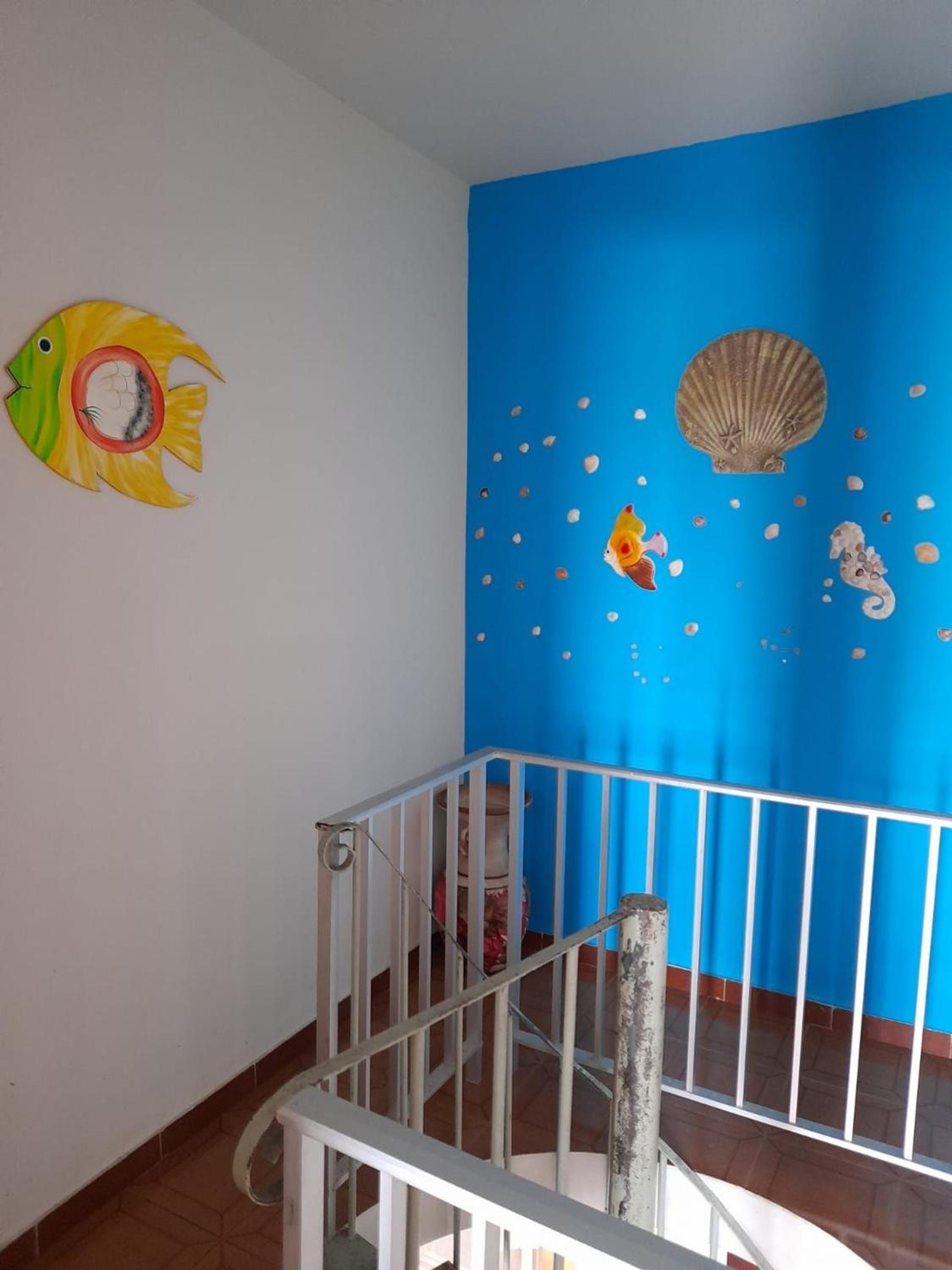 Budget Single Room photo 3