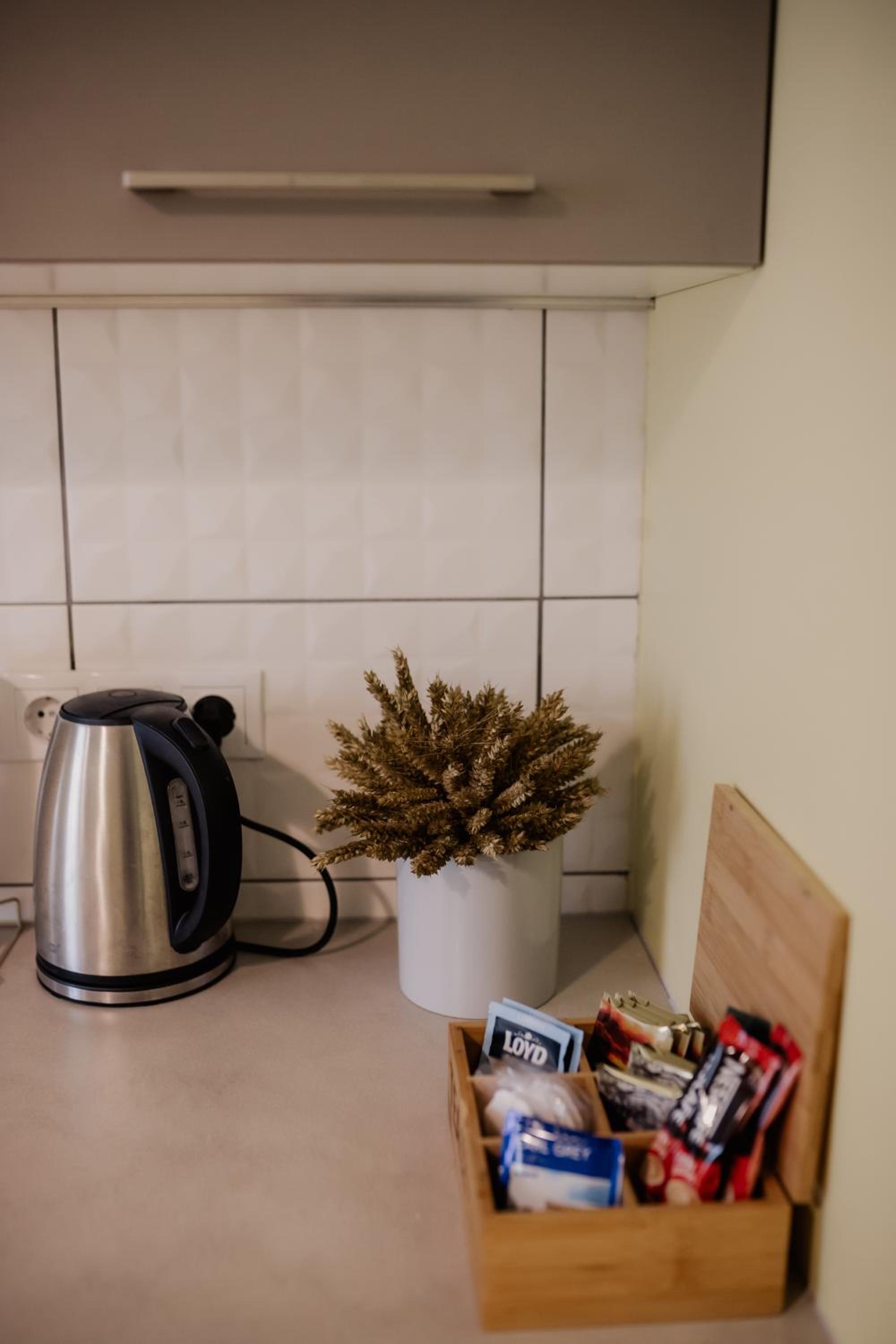 Apartment - Ground Floor - Photo 3