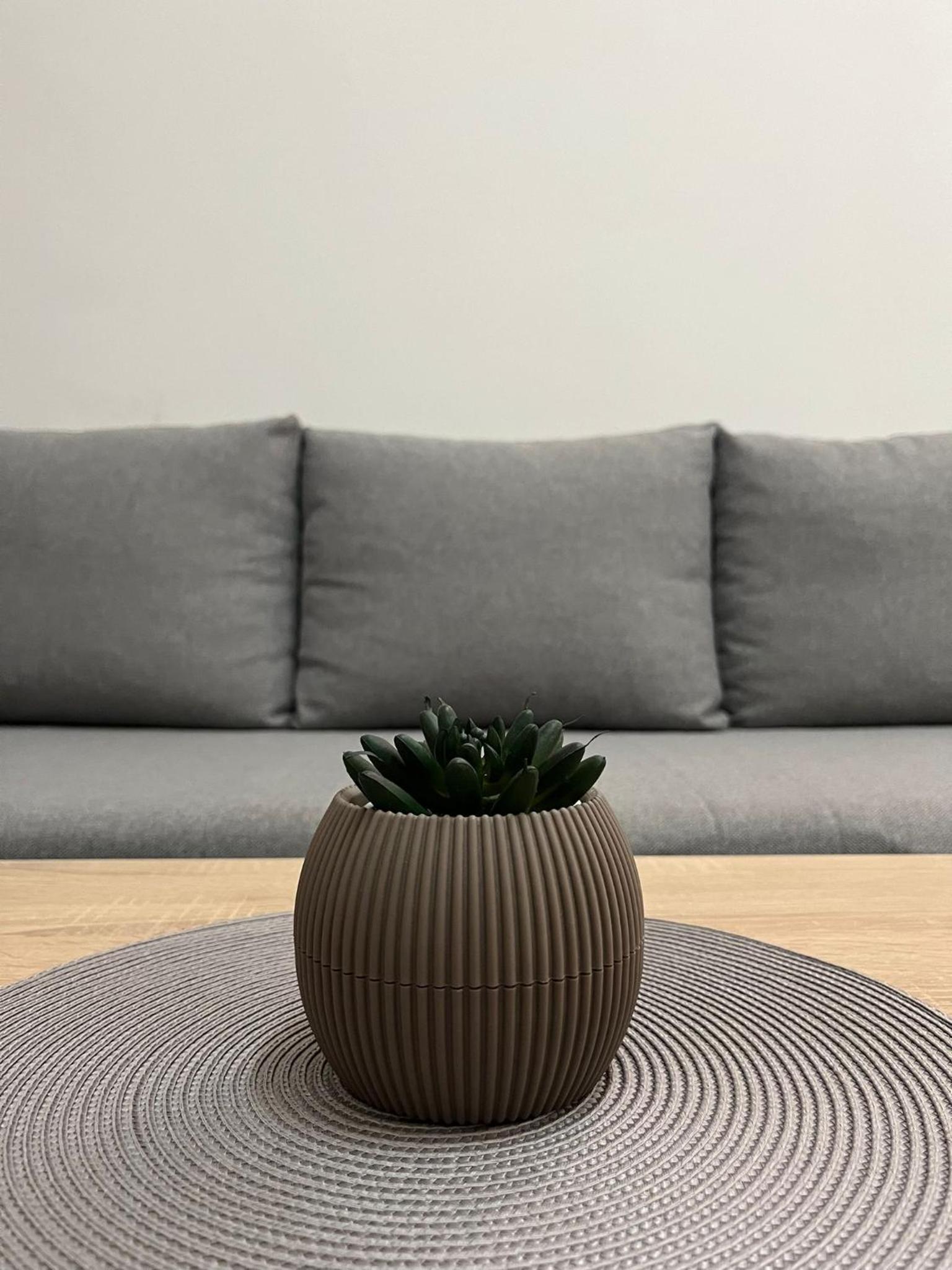 Classic Apartment