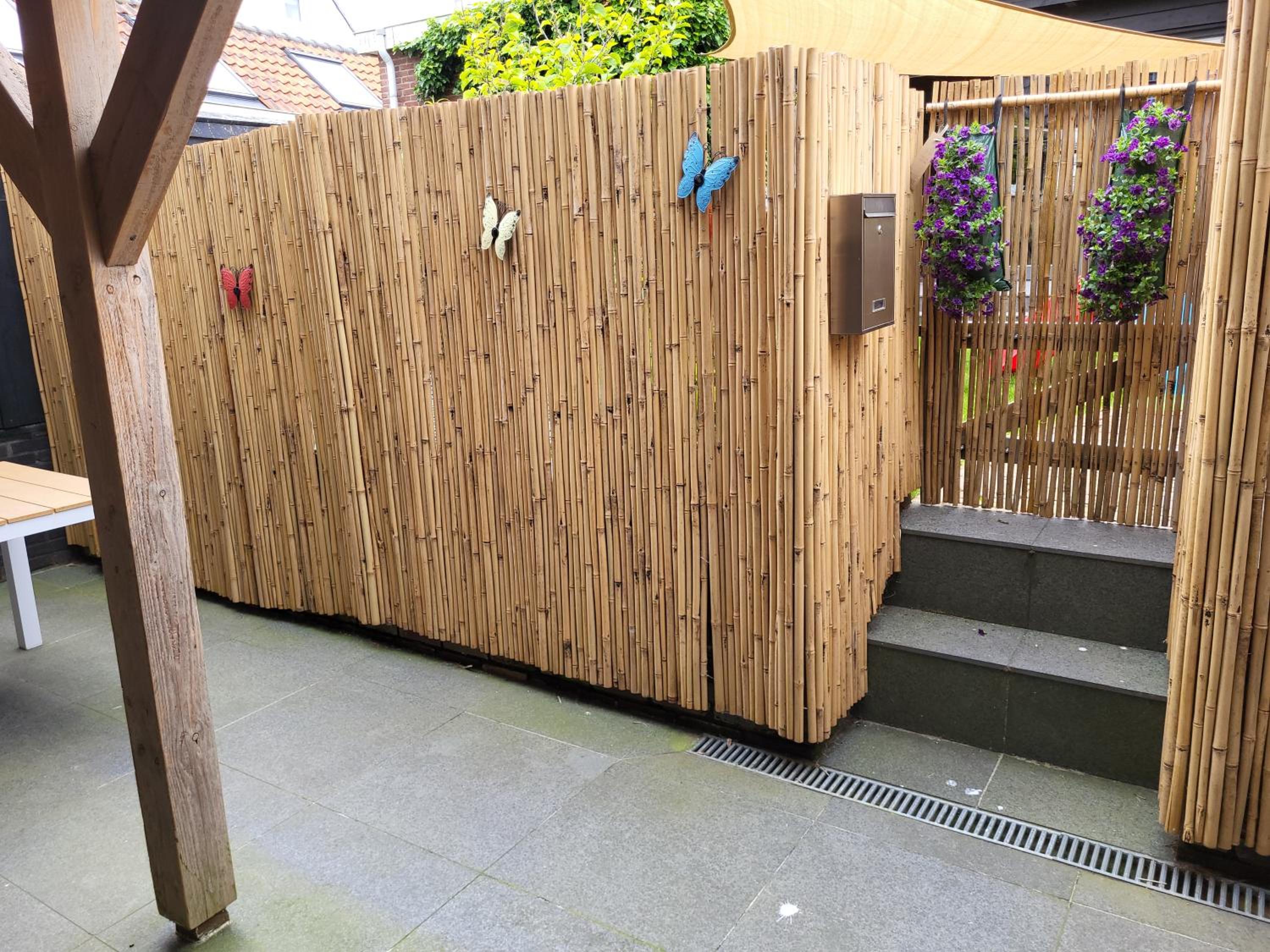 Studio With Terrace photo 2