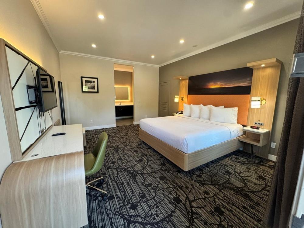 Superior King Room photo 1